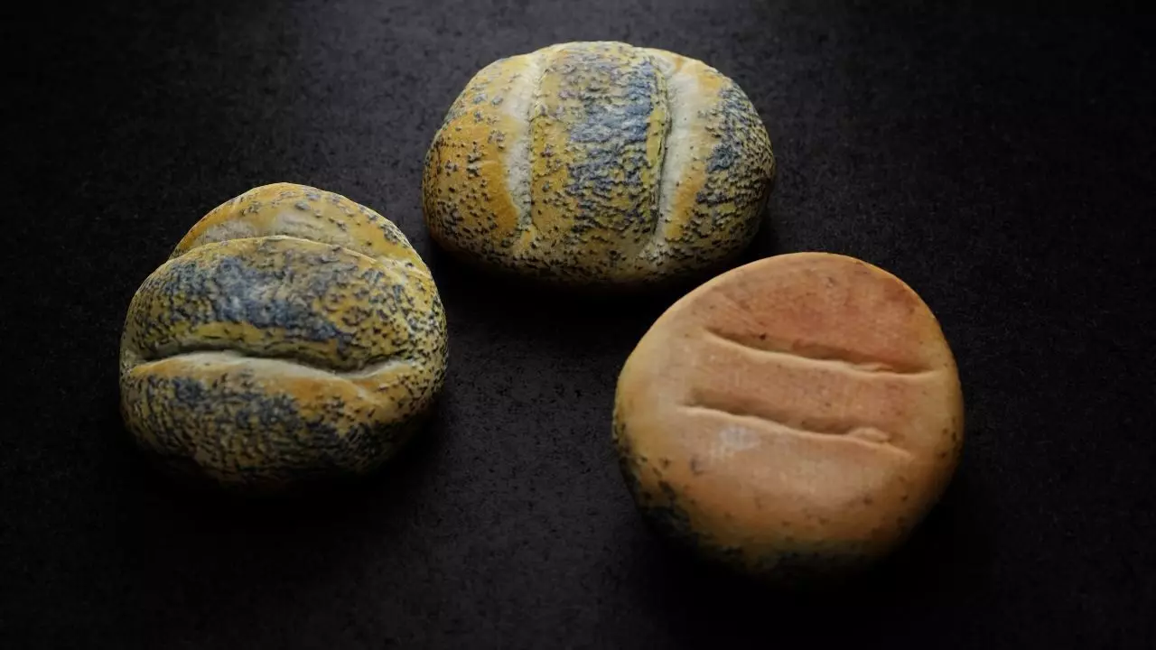 Poppy Seed Roll 3D model_0