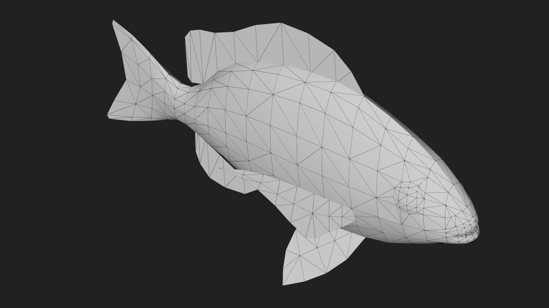 Snapper Low-poly 3D model_5