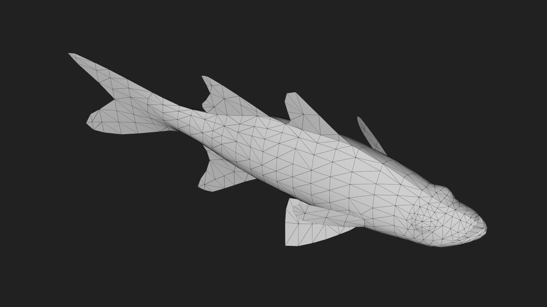 Snook Low-poly 3D model_5