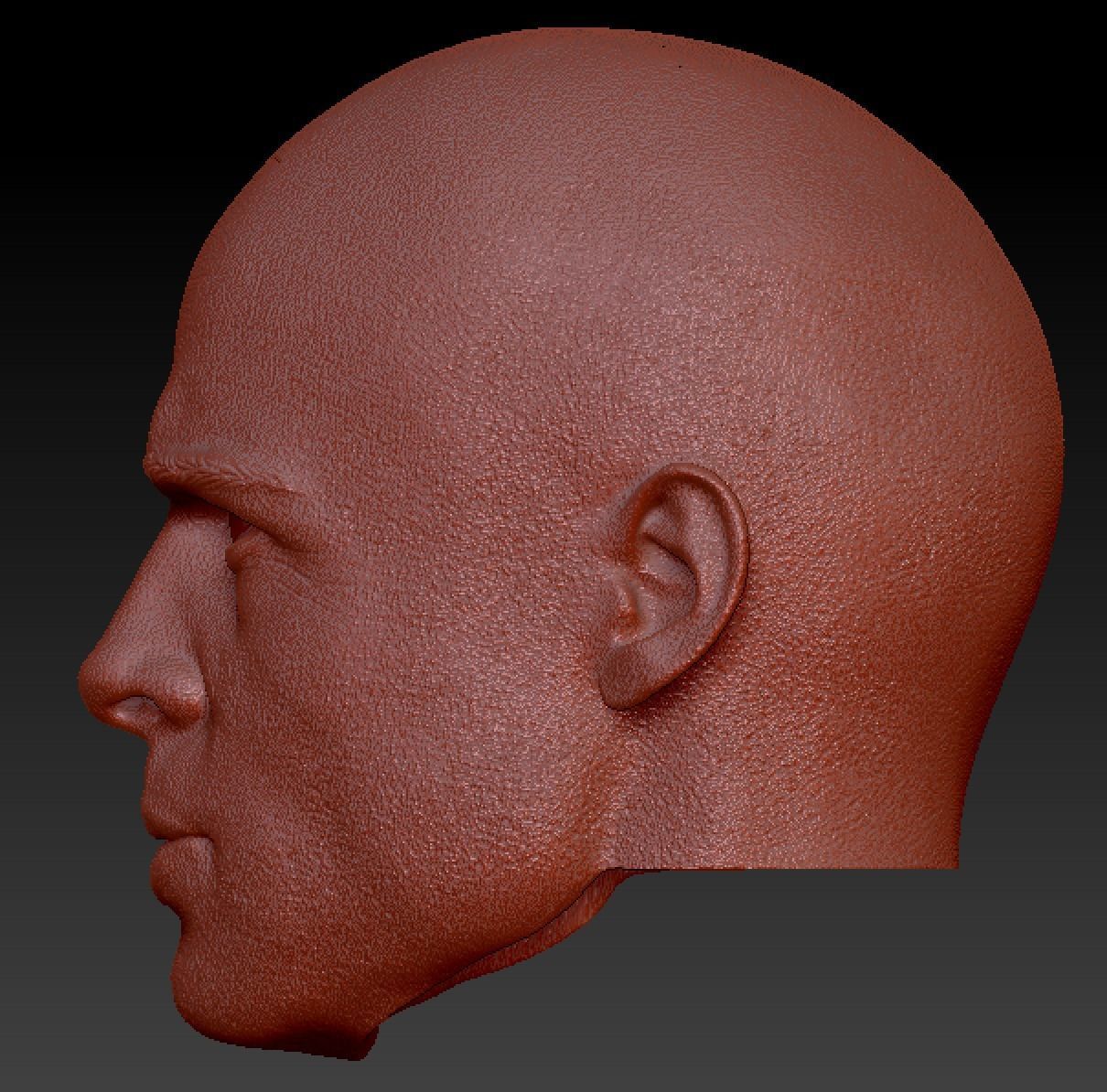 Brad pitt head sculpt 3D print model_6