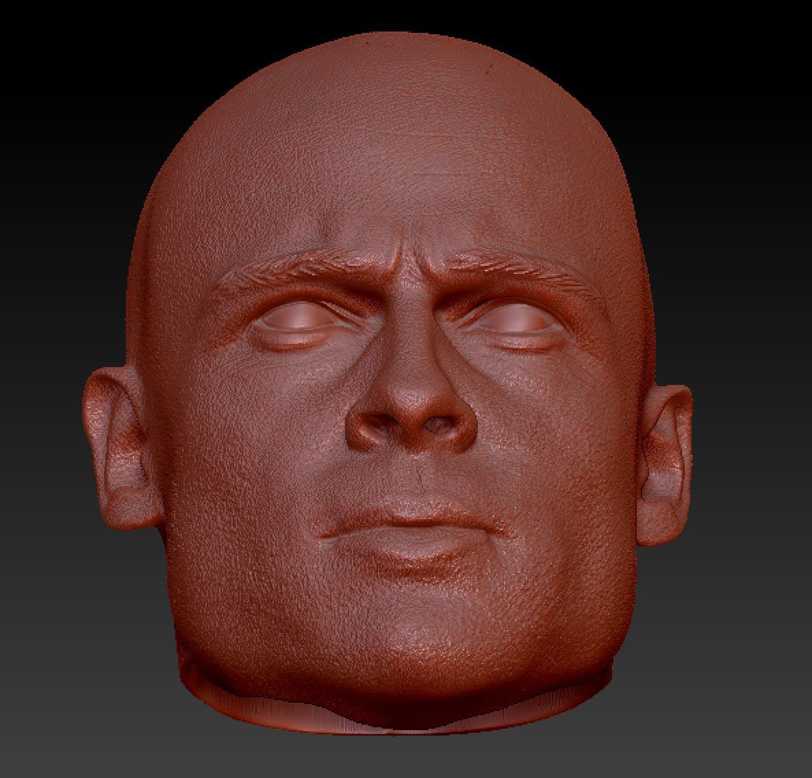Brad pitt head sculpt 3D print model_3