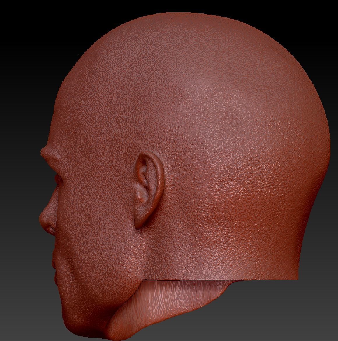 Brad pitt head sculpt 3D print model_1