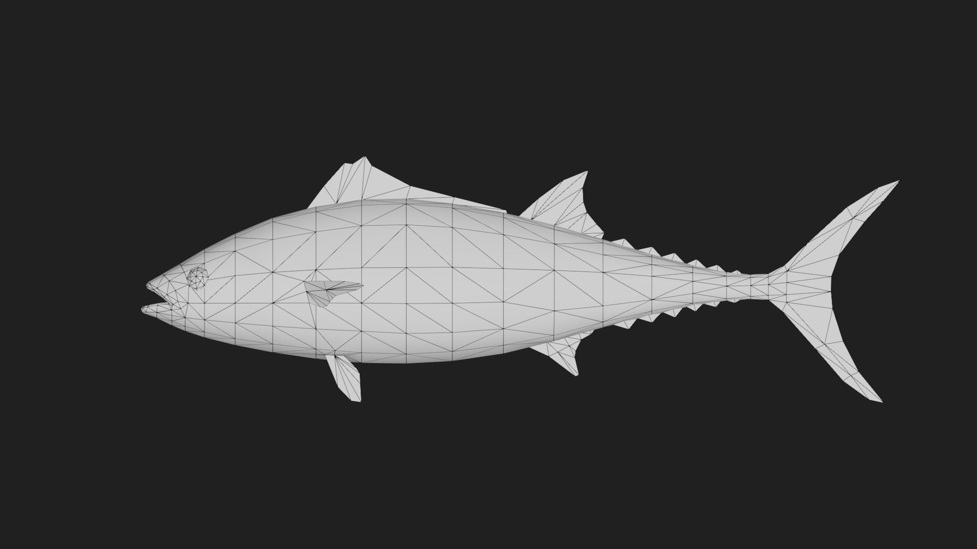 Tuna fish Low-poly 3D model_1