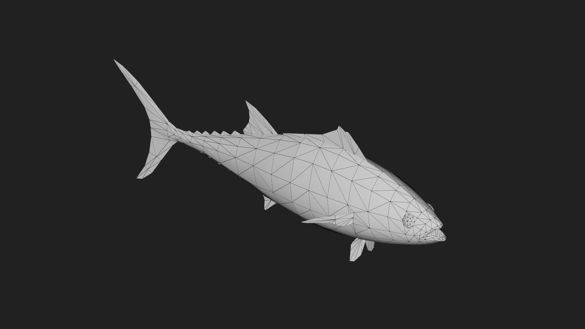 Tuna fish Low-poly 3D model_5