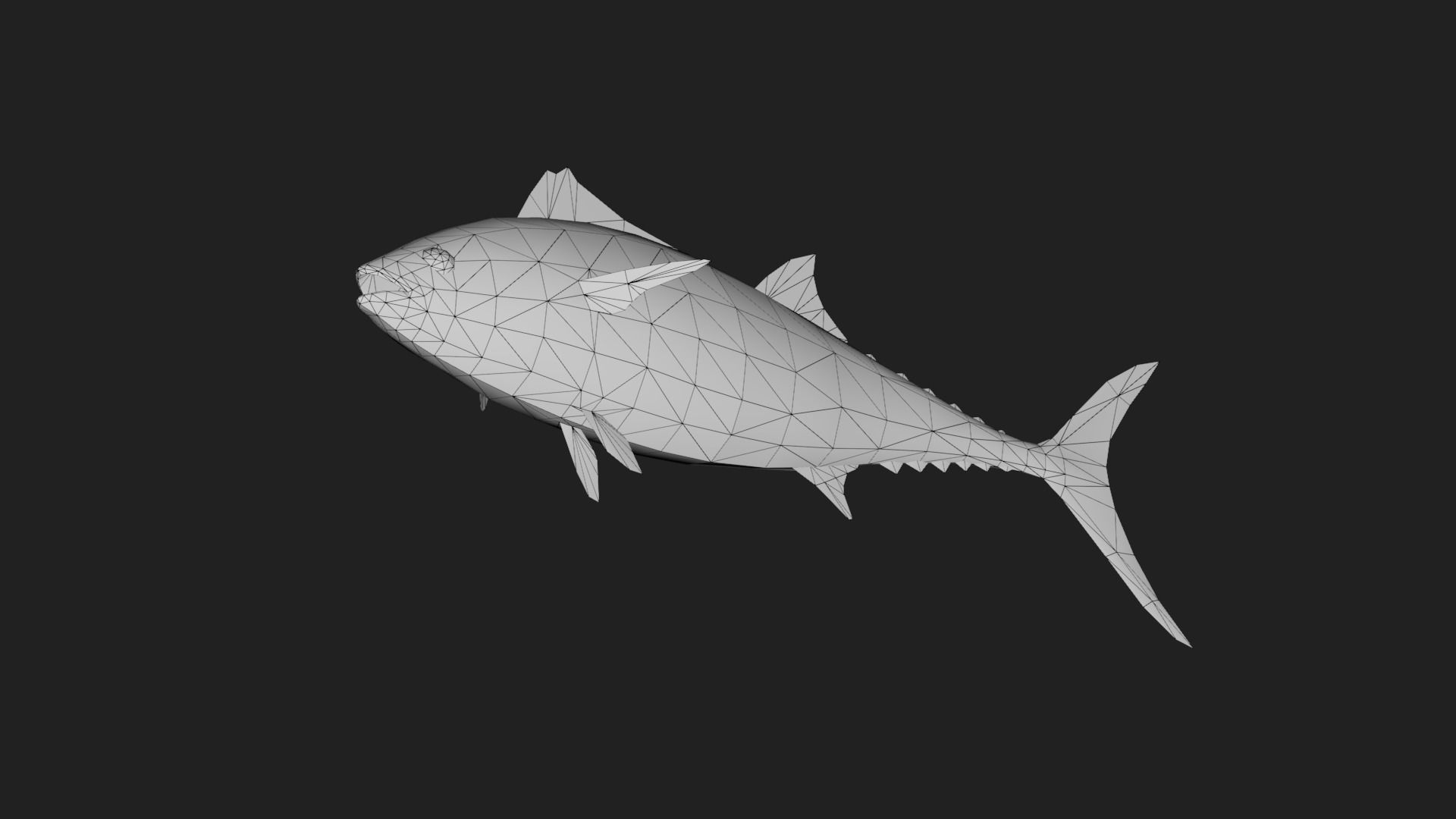 Tuna fish Low-poly 3D model_3