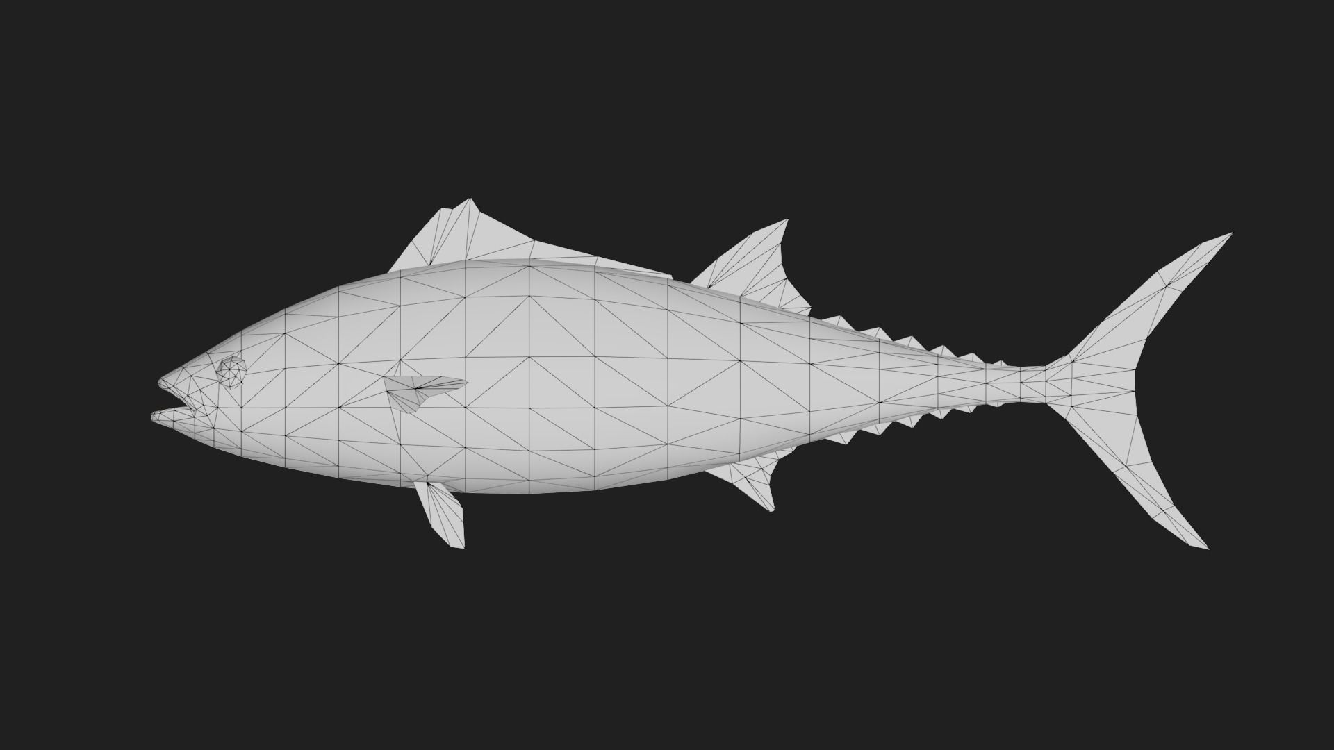 Tuna fish Low-poly 3D model_1