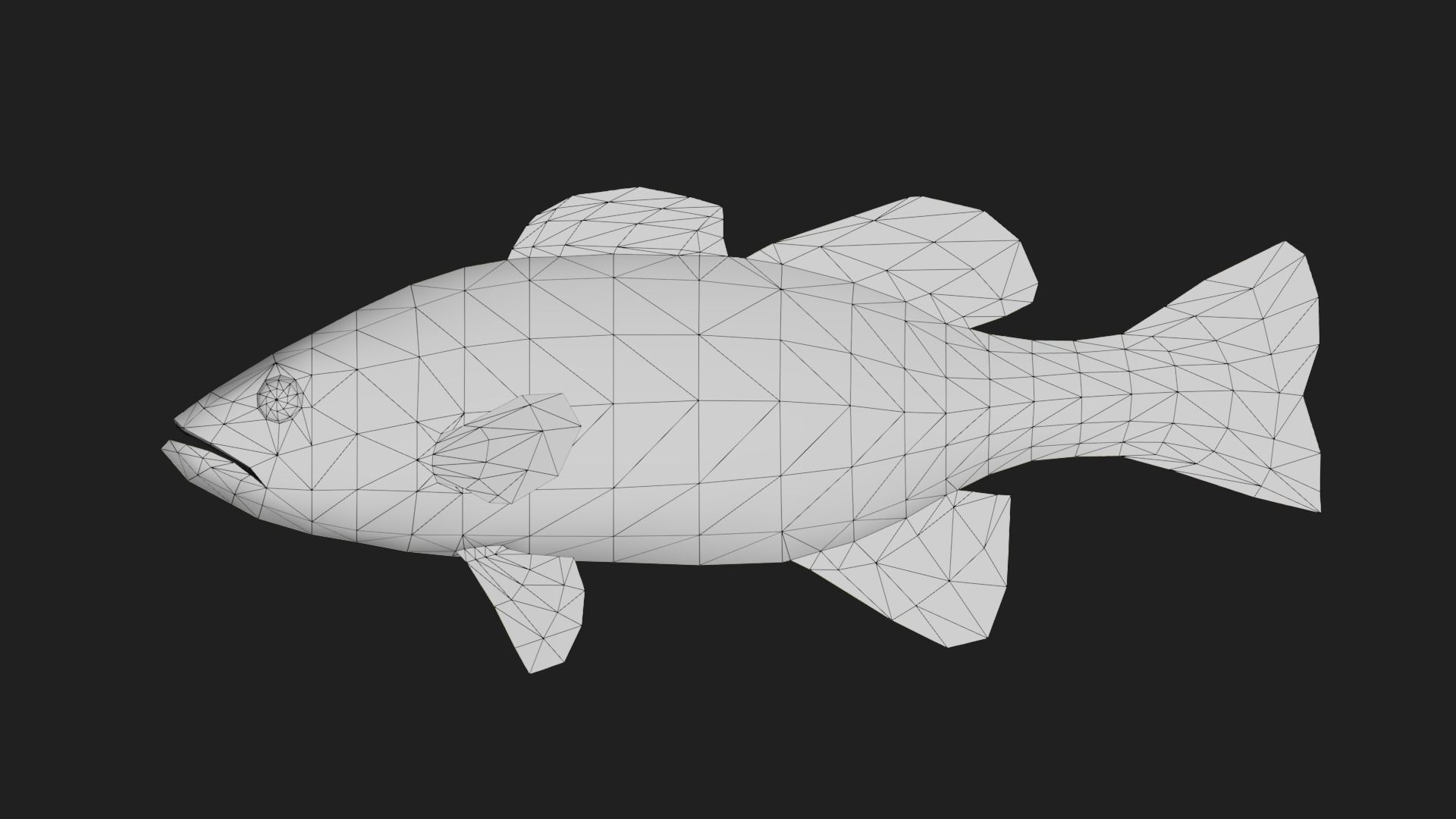 Bass fish Low-poly 3D model_1