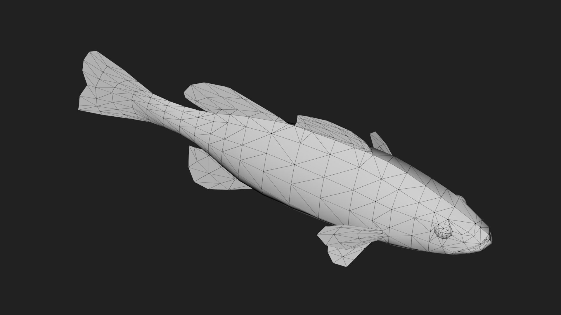 Bass fish Low-poly 3D model_5