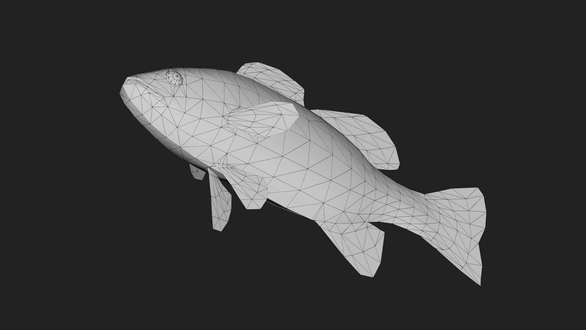 Bass fish Low-poly 3D model_3