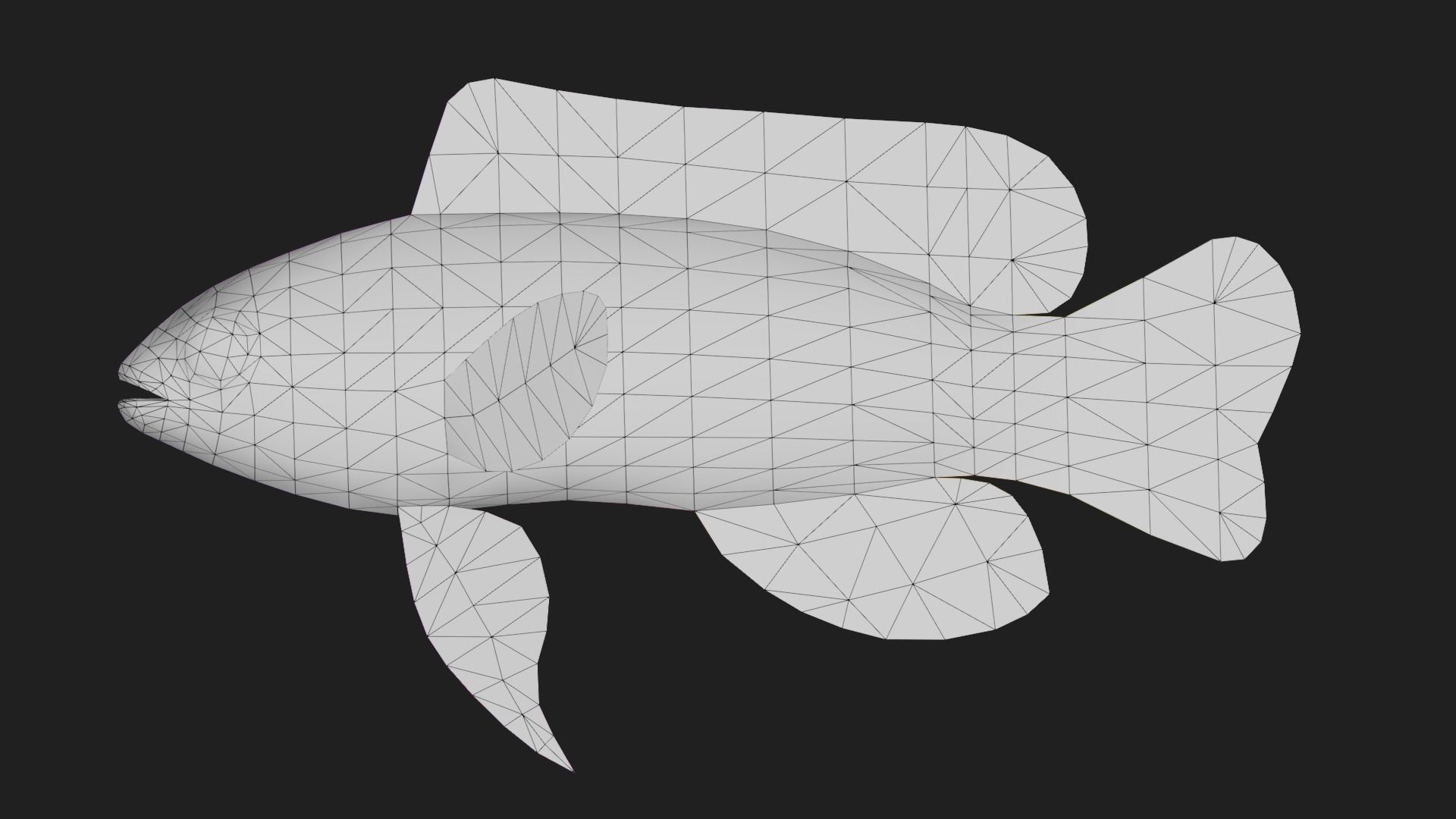 Grammidae Low-poly 3D model_1