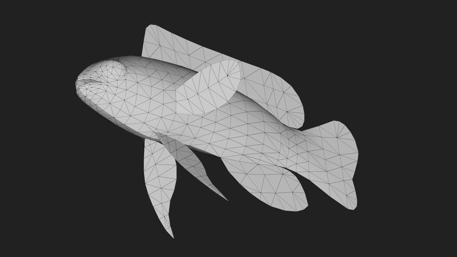 Grammidae Low-poly 3D model_3