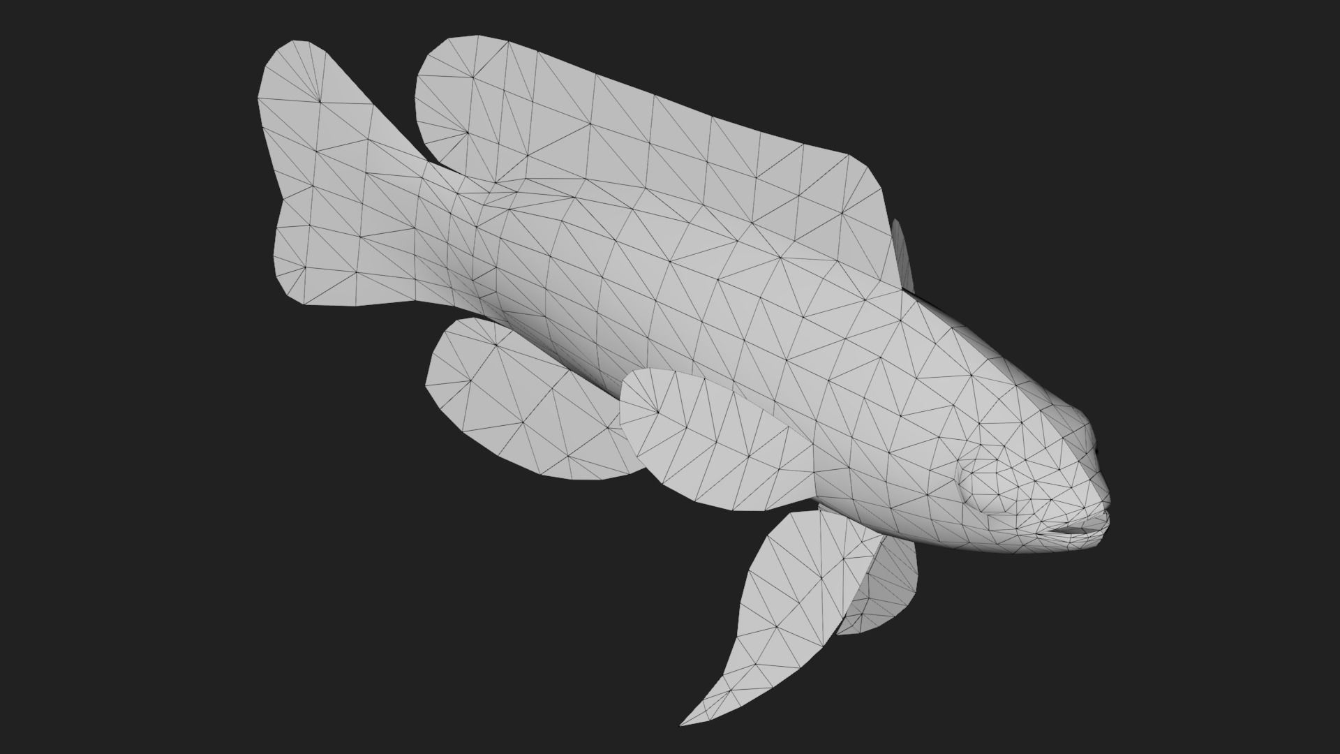 Grammidae Low-poly 3D model_5