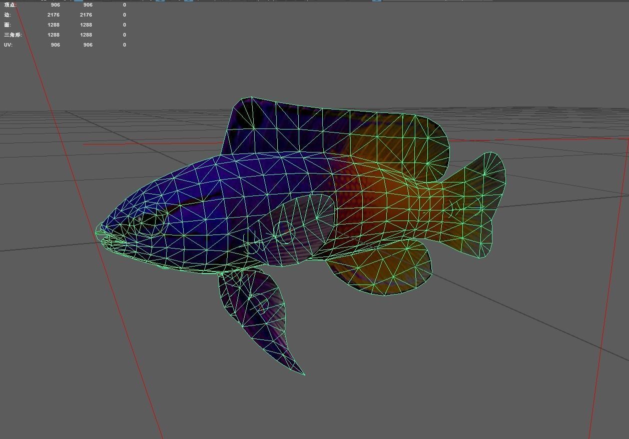 Grammidae Low-poly 3D model_6