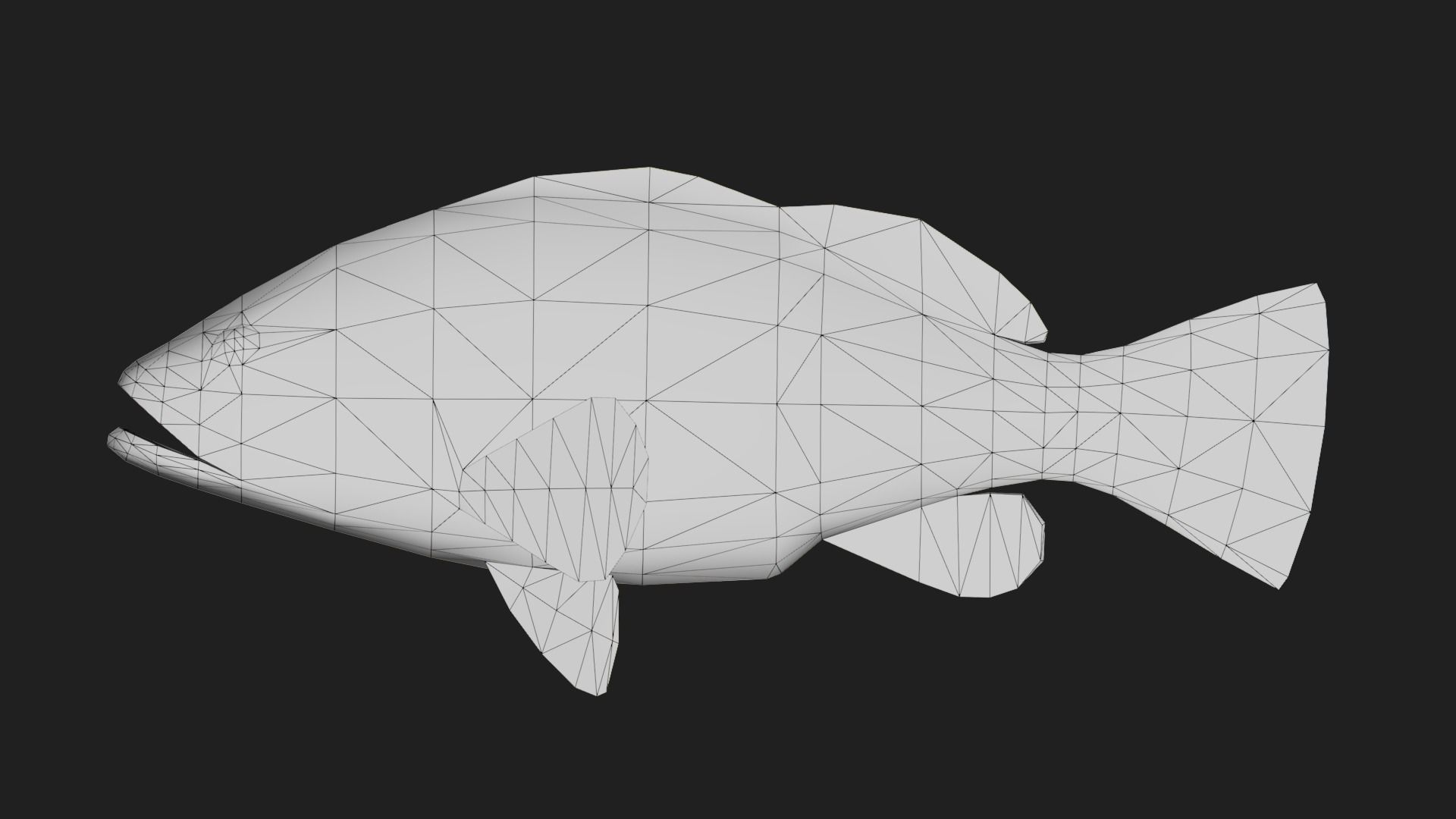 Grouper Low-poly 3D model_1