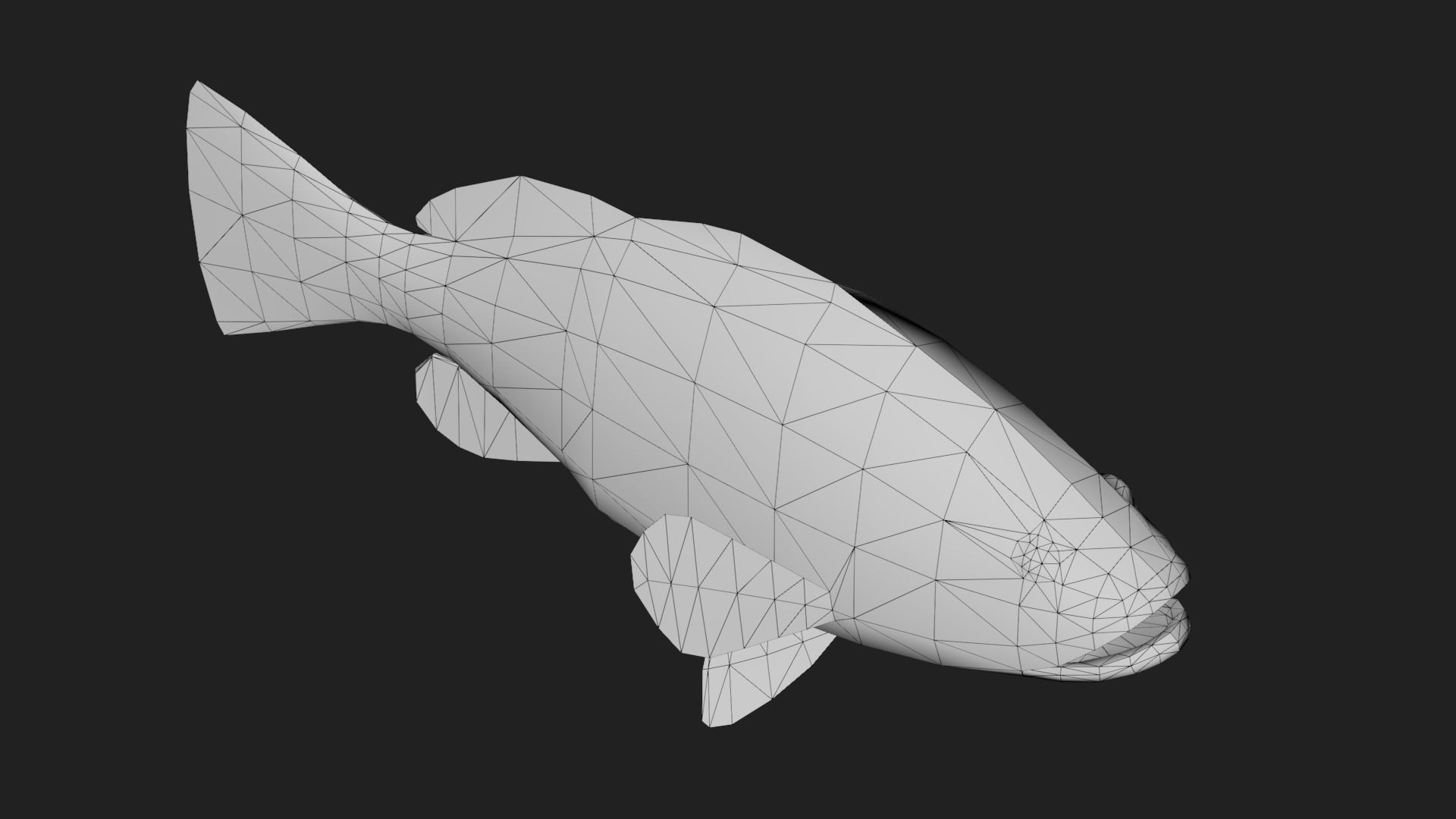 Grouper Low-poly 3D model_5