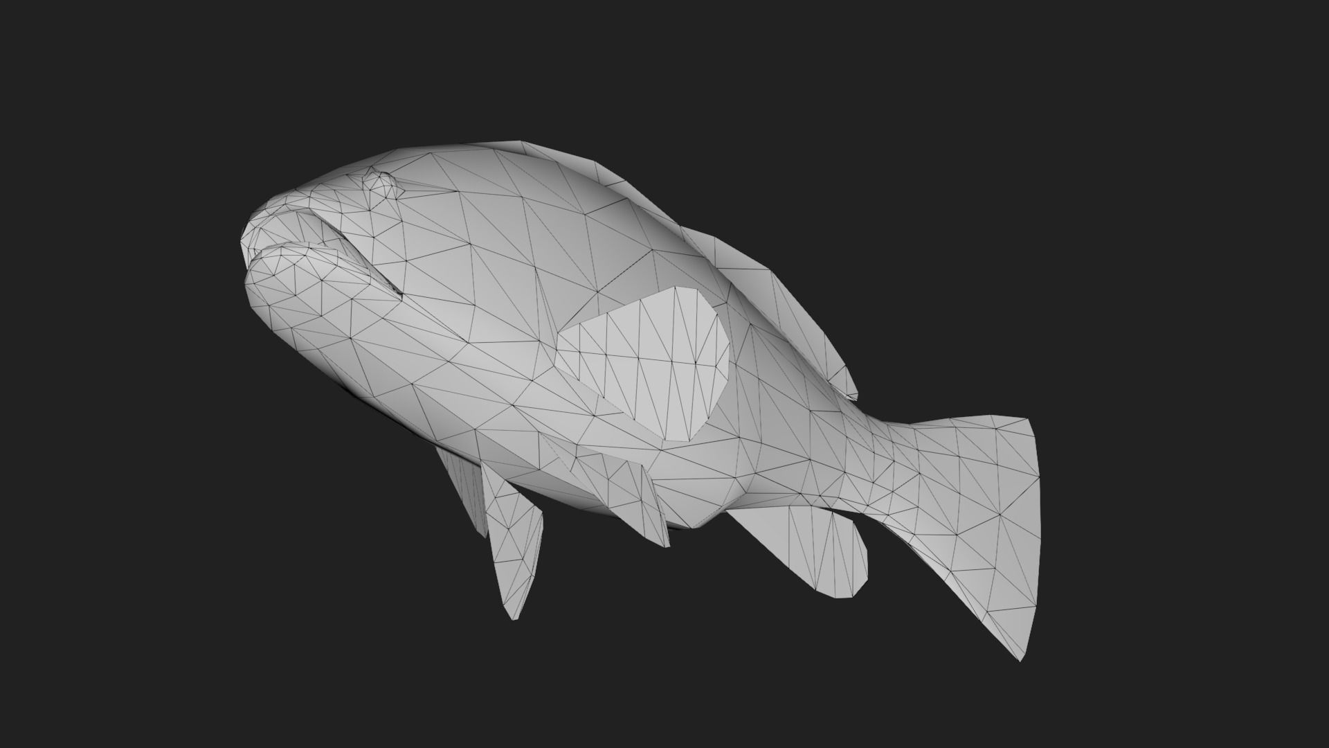 Grouper Low-poly 3D model_3