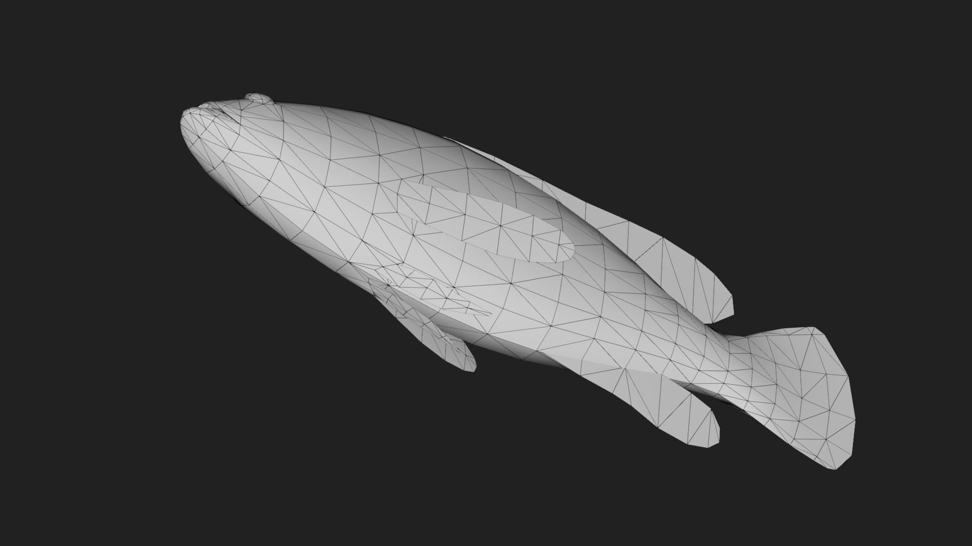 Grouper Low-poly 3D model_3