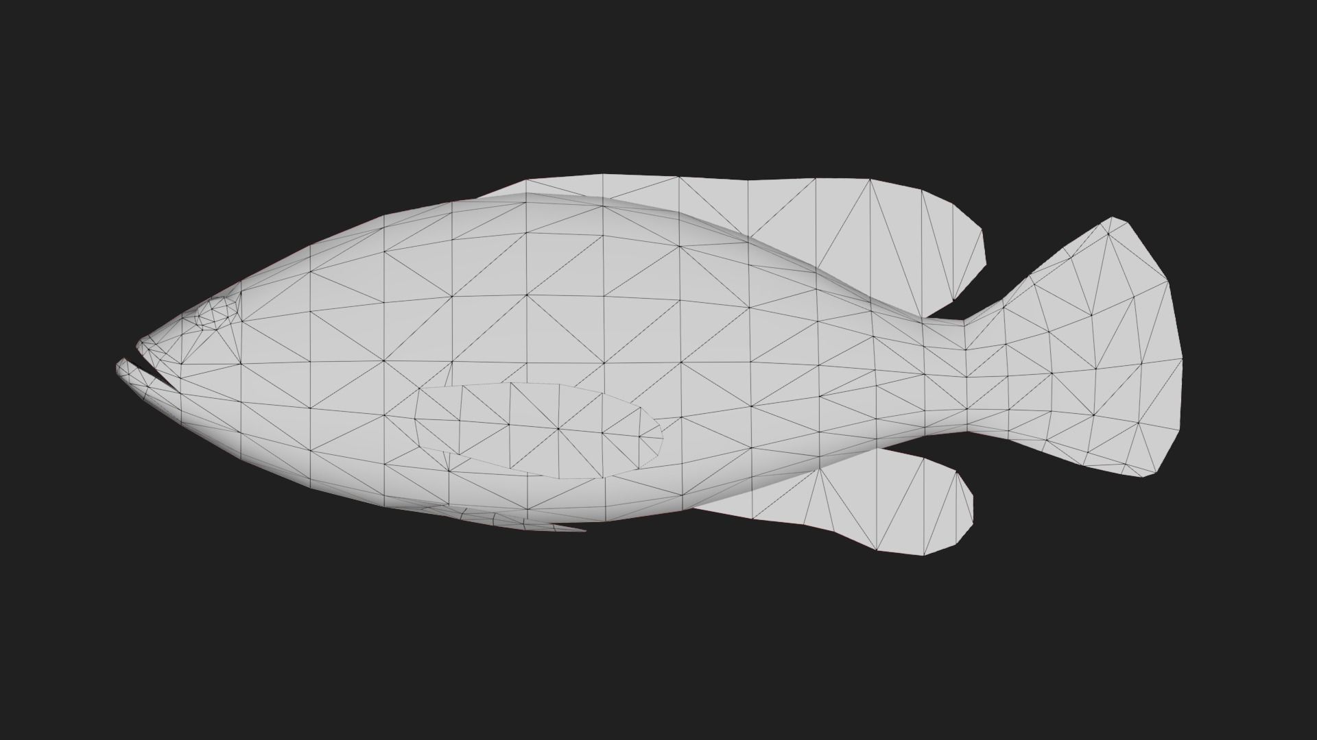 Grouper Low-poly 3D model_1