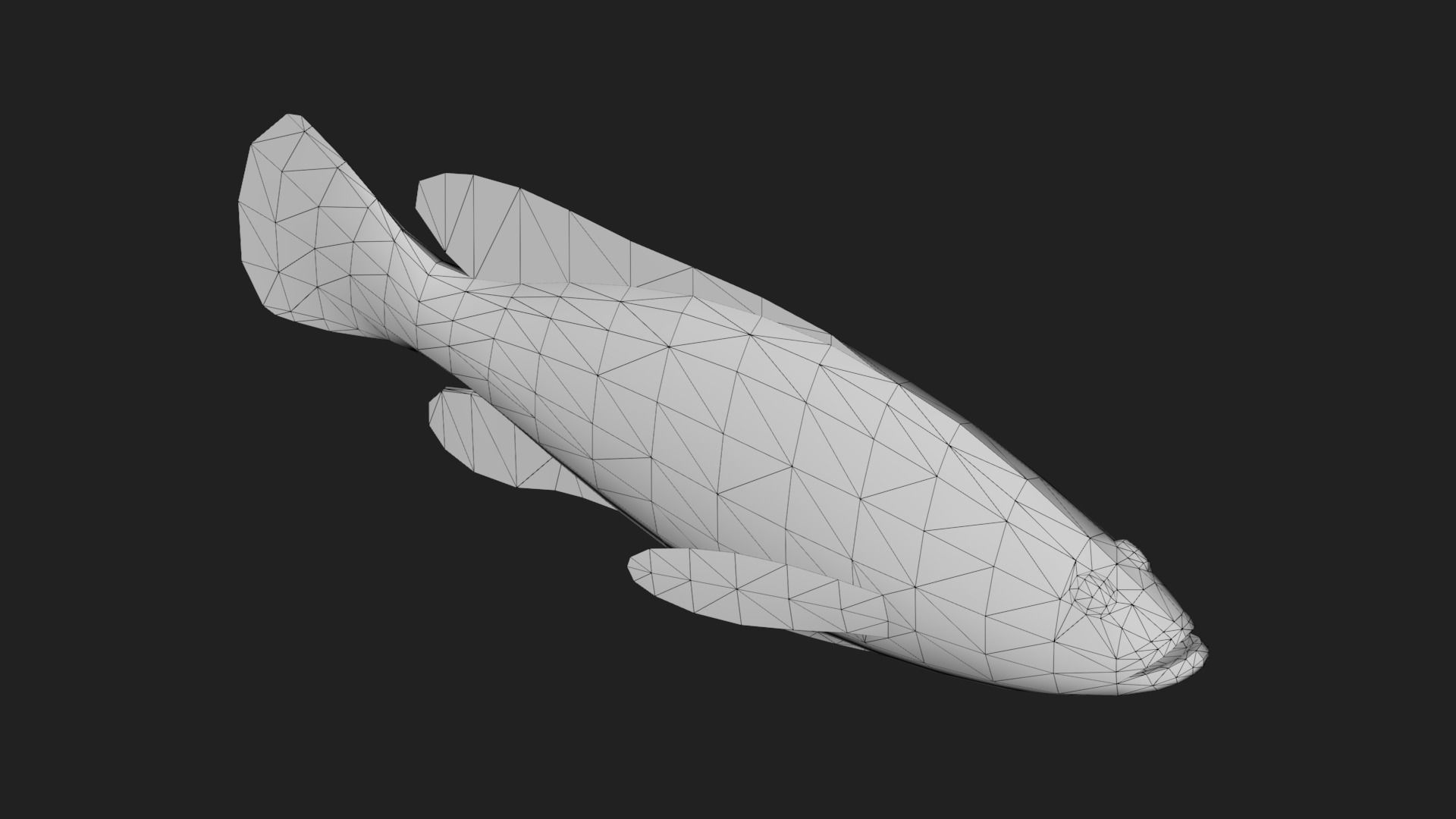 Grouper Low-poly 3D model_5