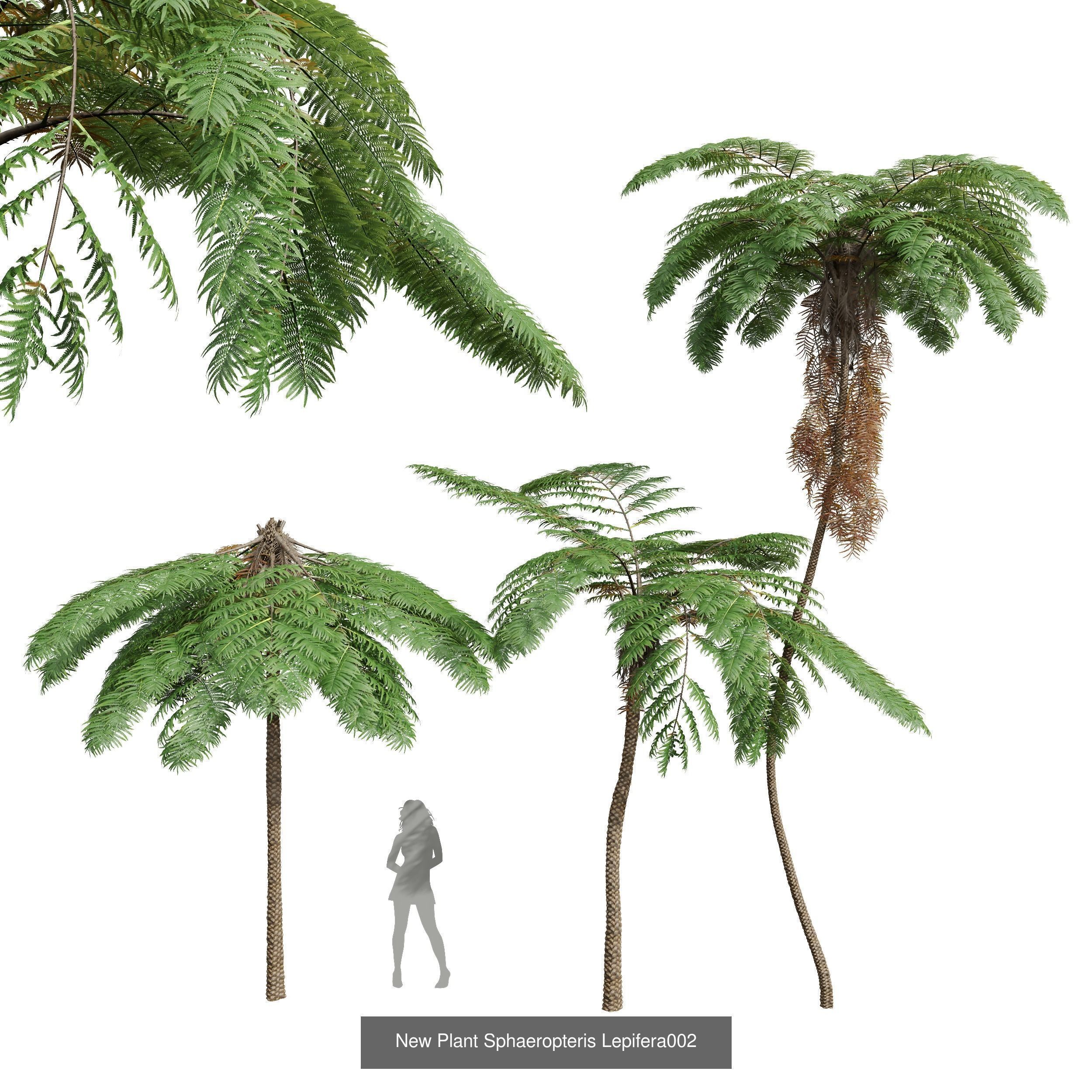 5 Different SETS of Tree SET VOL31 3D Model Collection_4