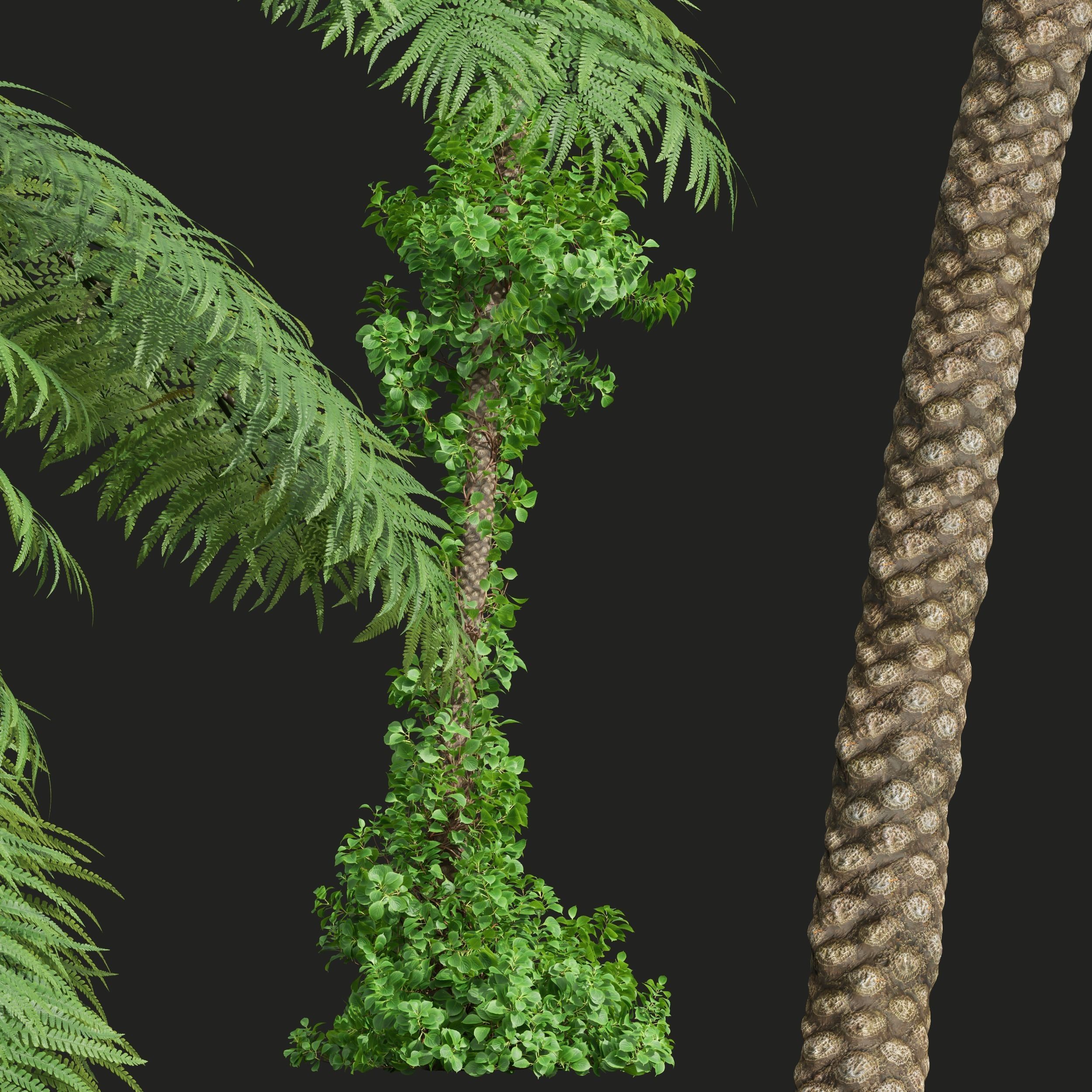 5 Different SETS of Tree SET VOL31 3D Model Collection_12