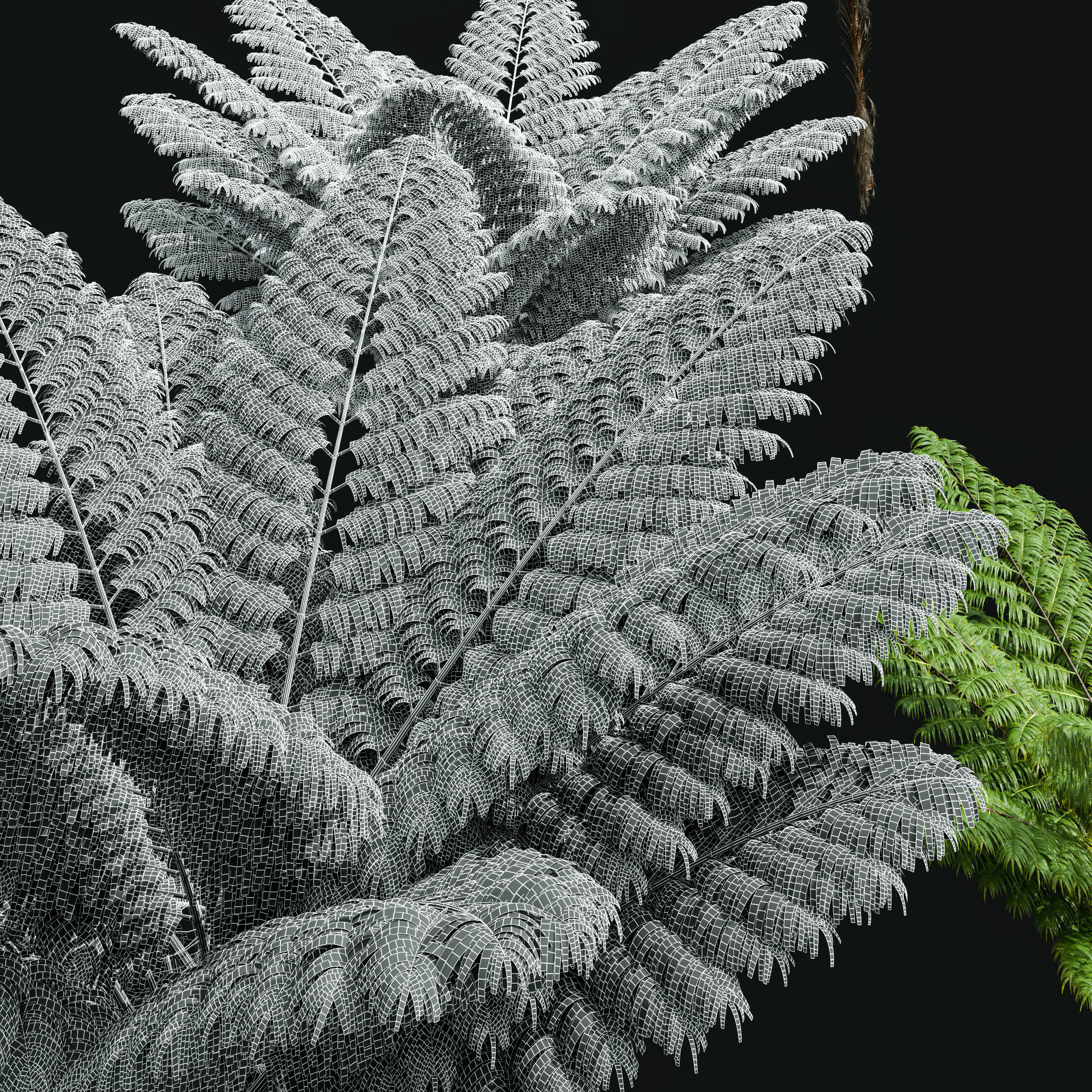 5 Different SETS of Tree SET VOL31 3D Model Collection_18