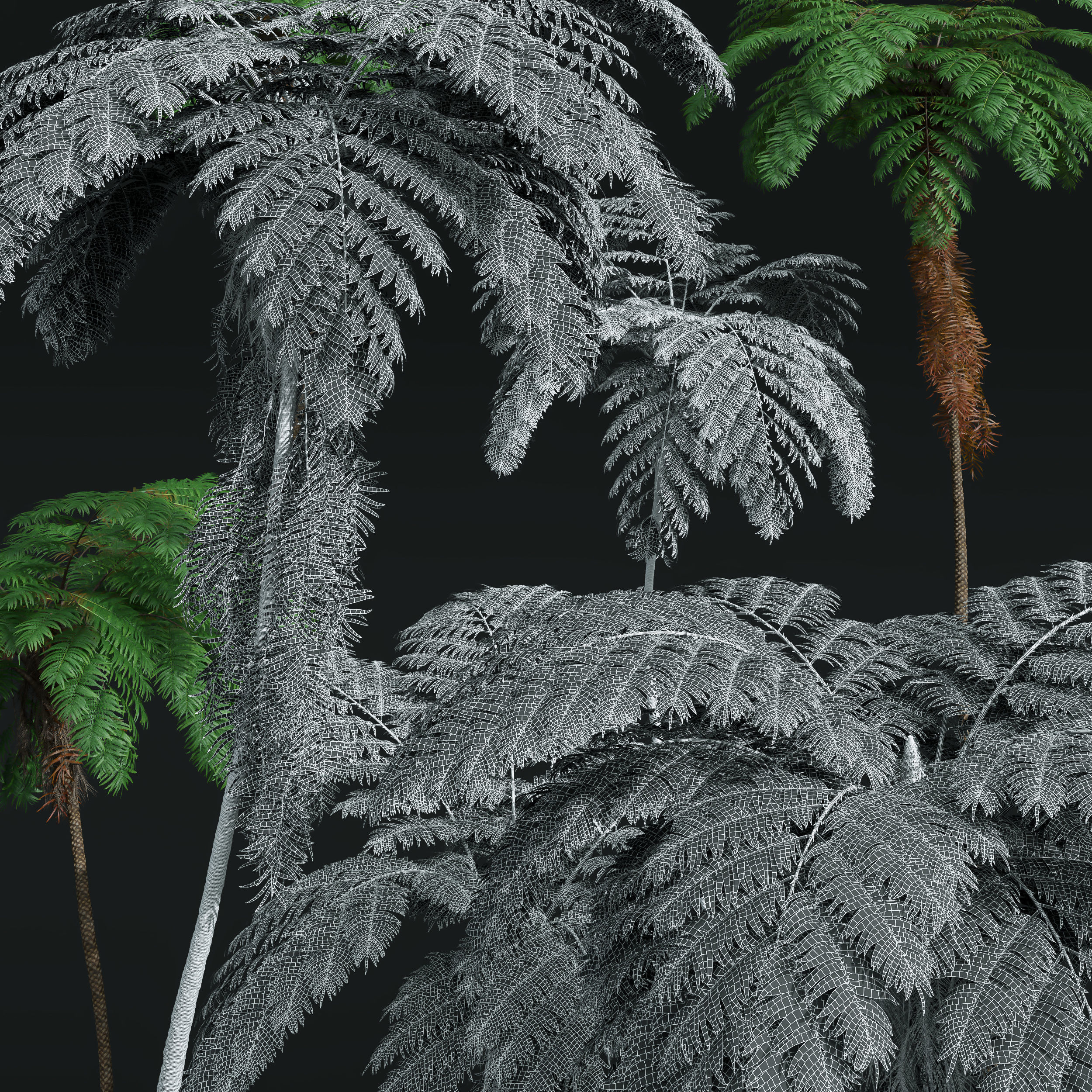 5 Different SETS of Tree SET VOL31 3D Model Collection_20