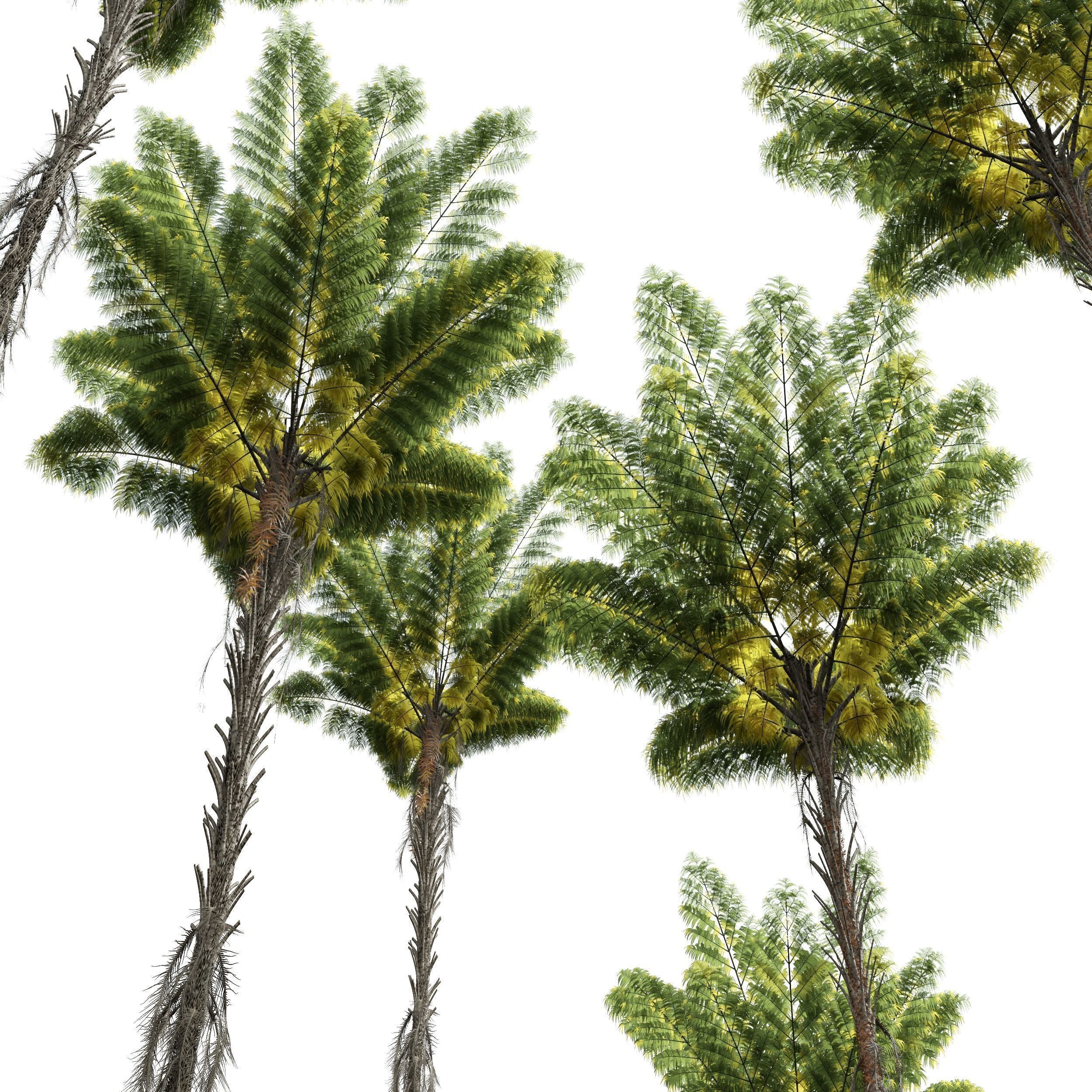 5 Different SETS of Tree SET VOL31 3D Model Collection_6