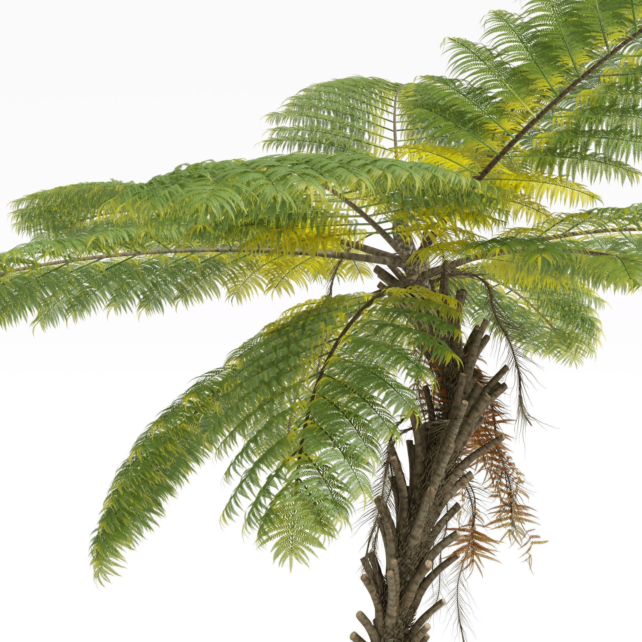 5 Different SETS of Tree SET VOL31 3D Model Collection_15