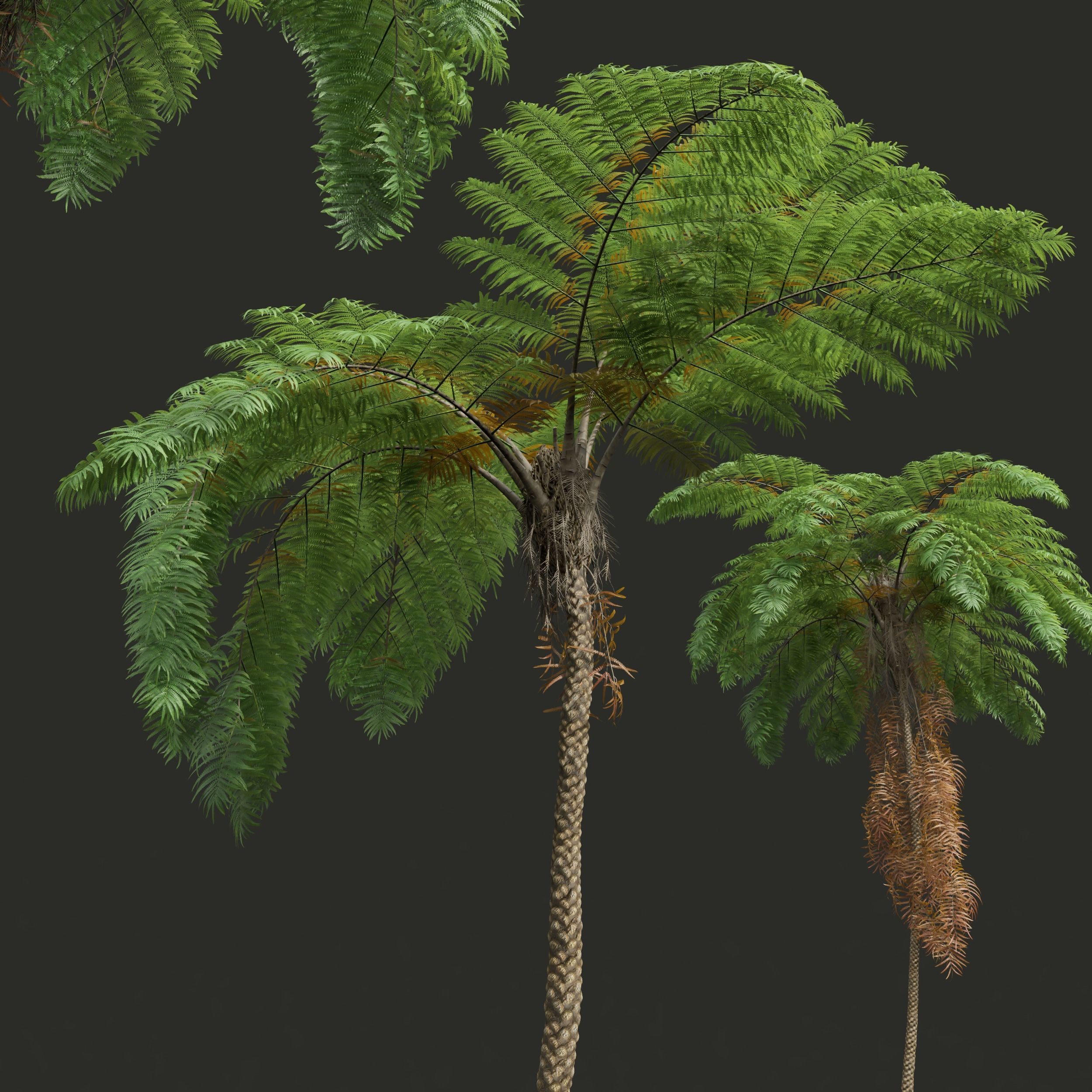 5 Different SETS of Tree SET VOL31 3D Model Collection_13