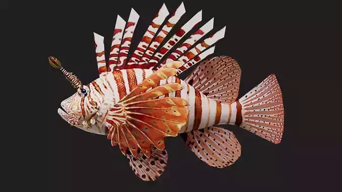 Lionfish