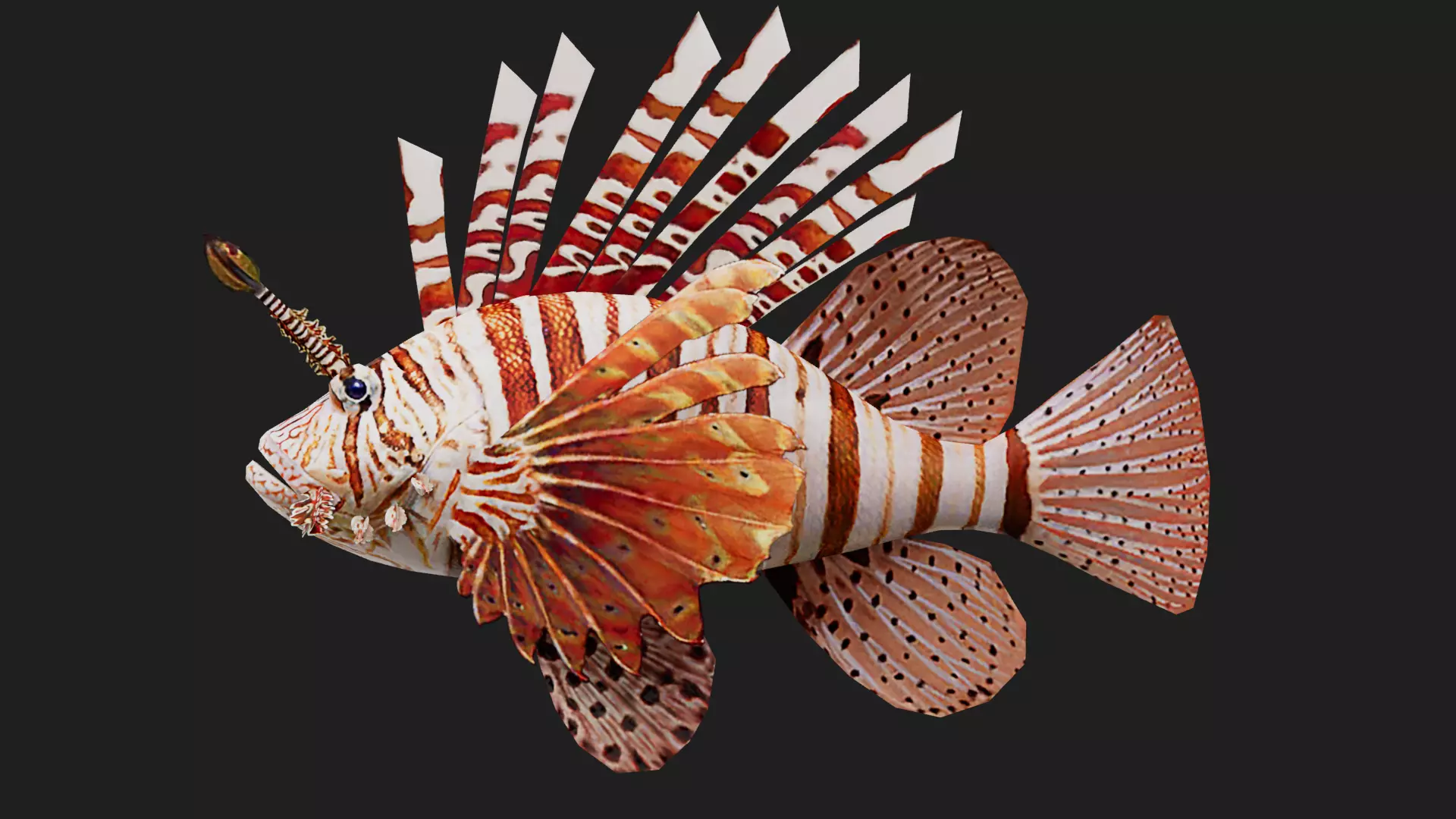 Lionfish Low-poly 3D model_0