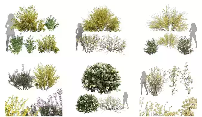 6 Different SETS of Bush SET VOL32