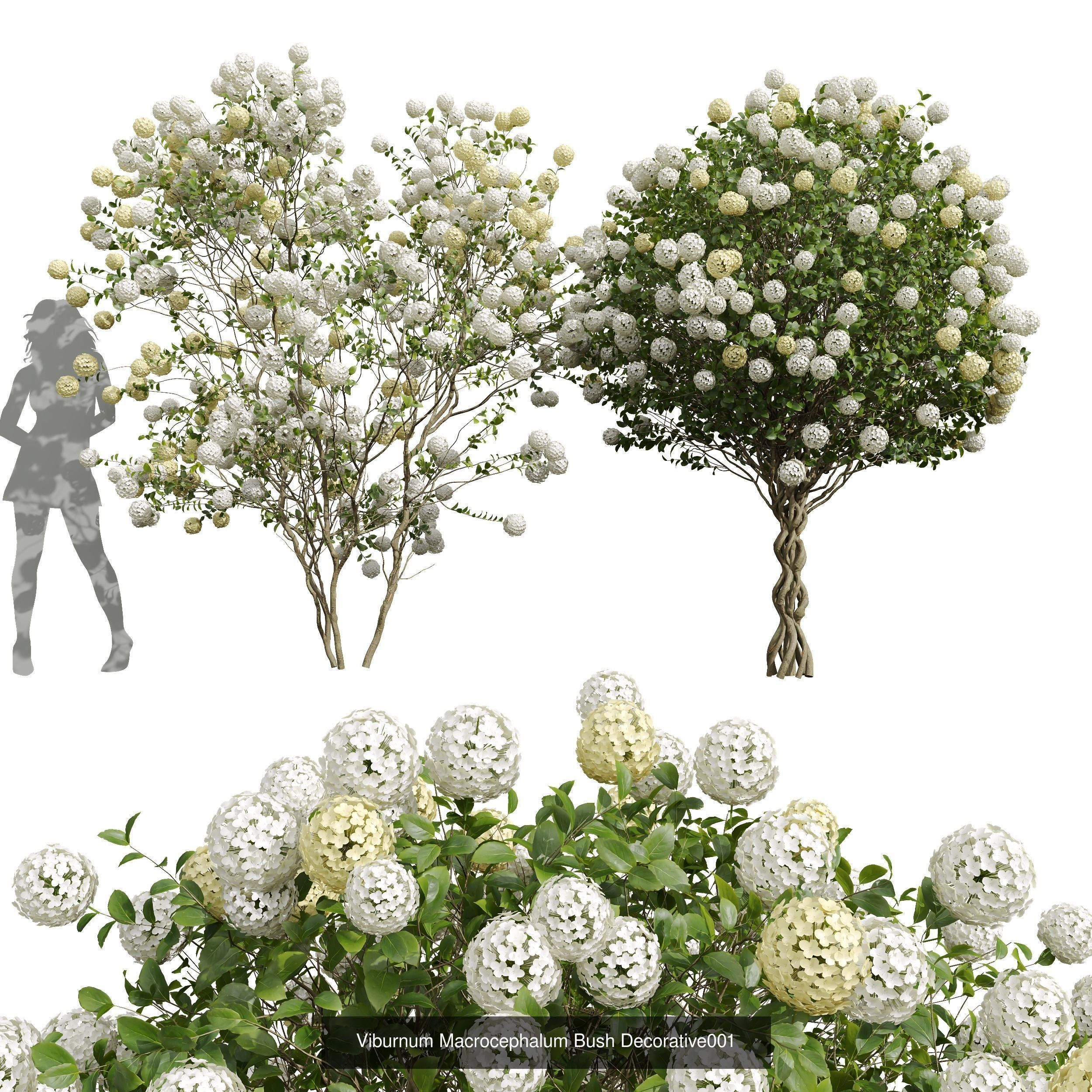  6 Different SETS of  Tree Bush SET VOL33 3D Model Collection_2