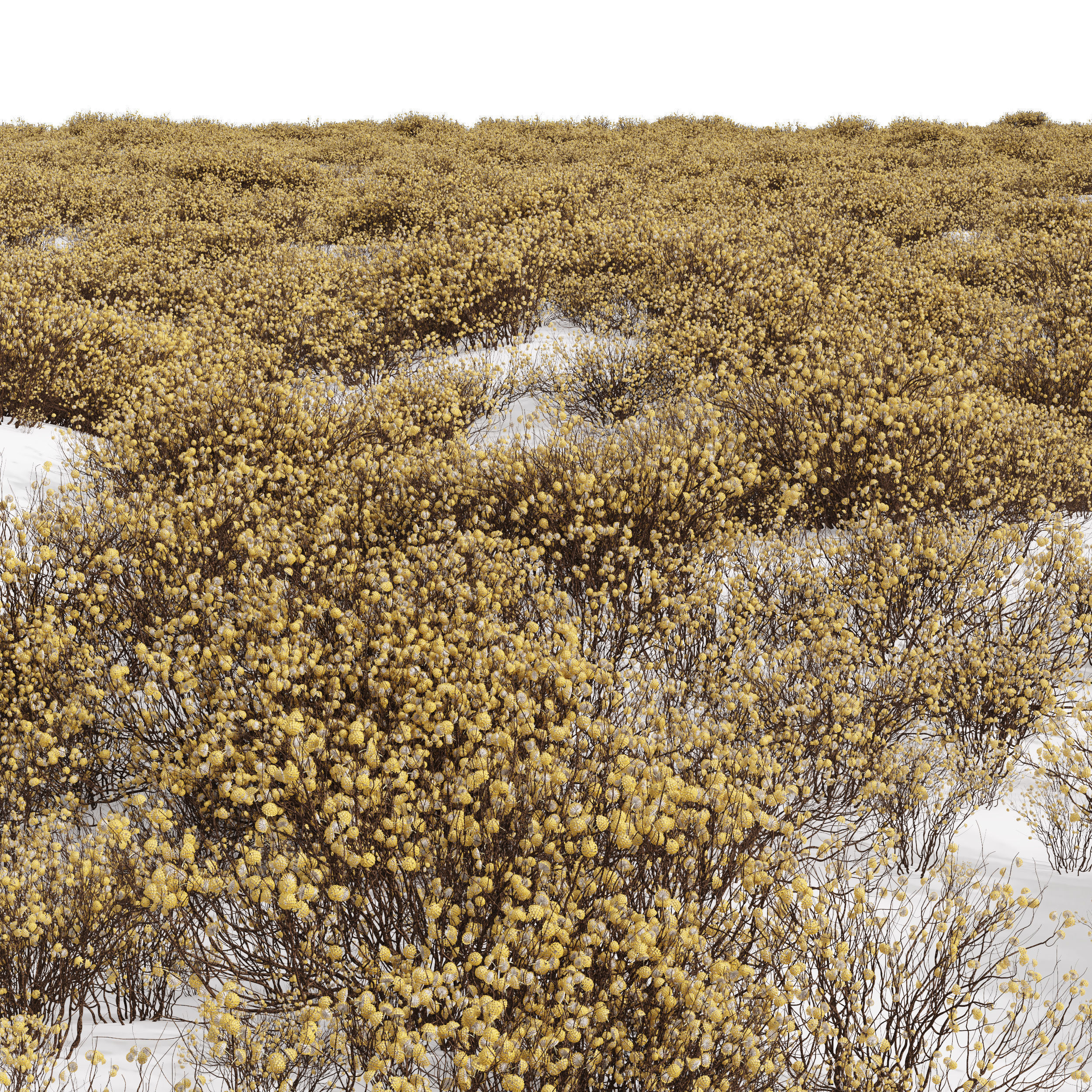  6 Different SETS of  Tree Bush SET VOL33 3D Model Collection_8