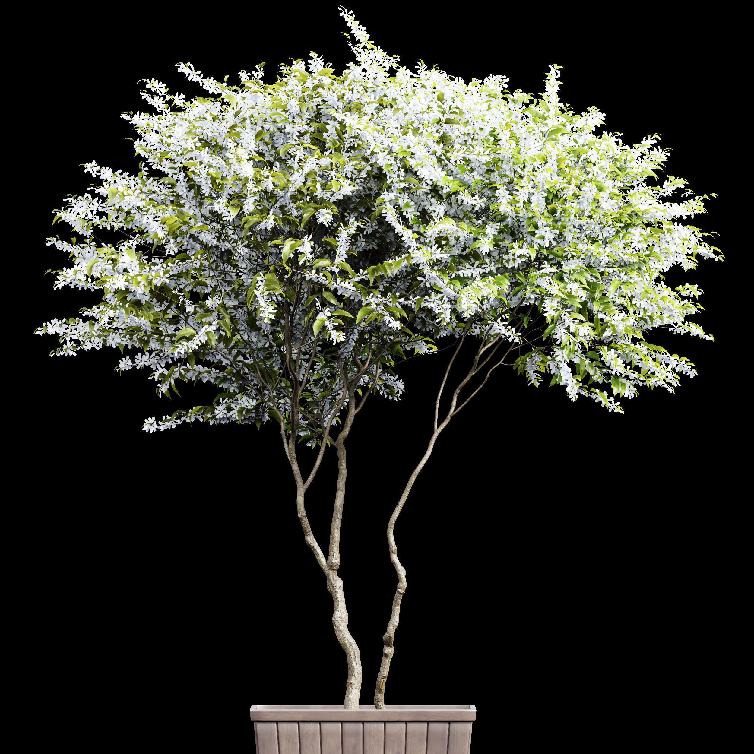  6 Different SETS of  Tree Bush SET VOL33 3D Model Collection_21