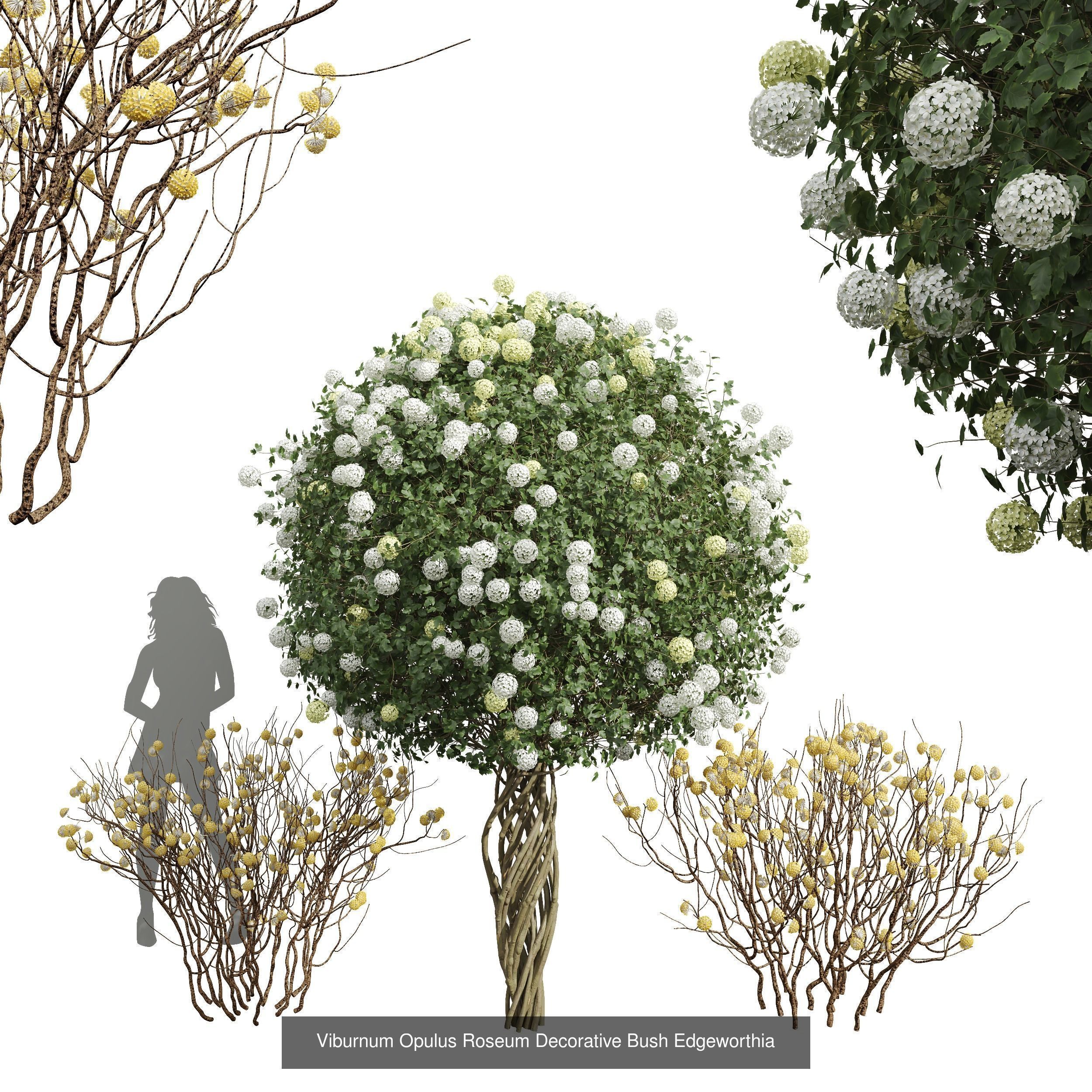  6 Different SETS of  Tree Bush SET VOL33 3D Model Collection_6