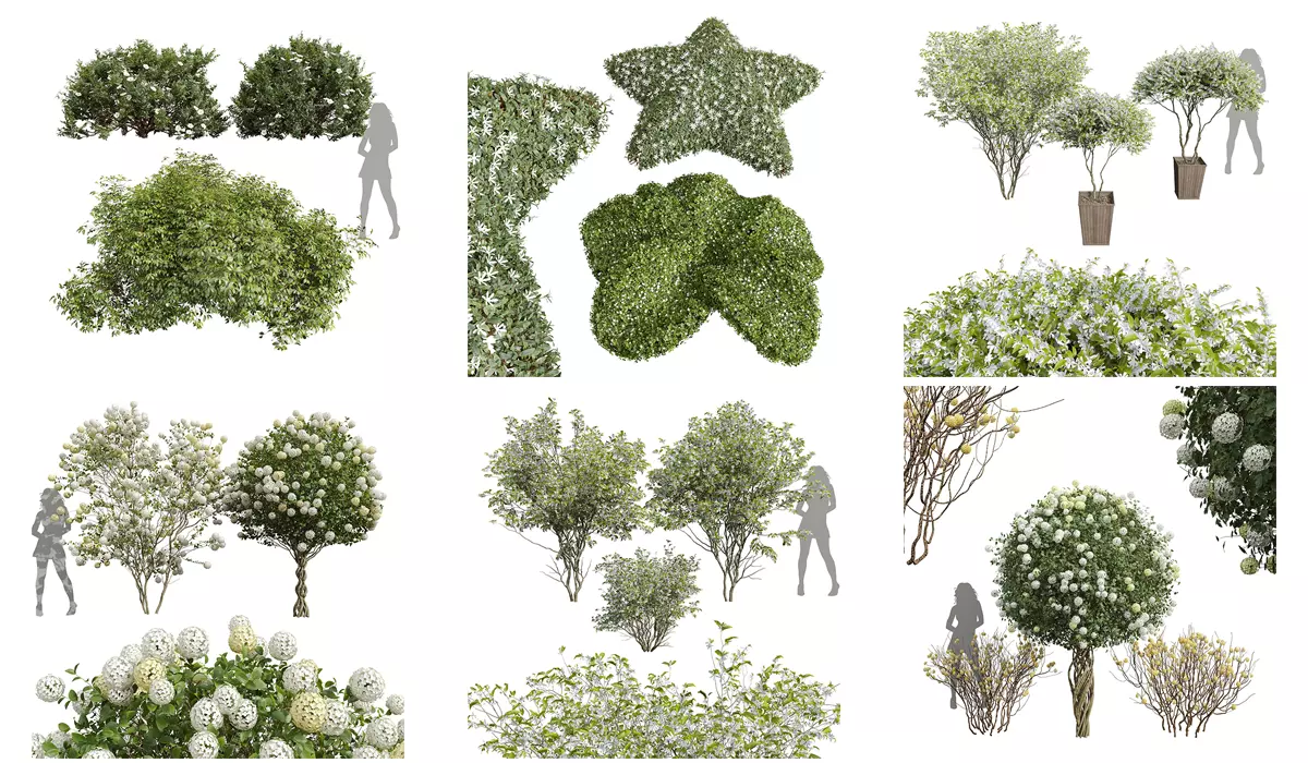  6 Different SETS of  Tree Bush SET VOL33 3D Model Collection_0