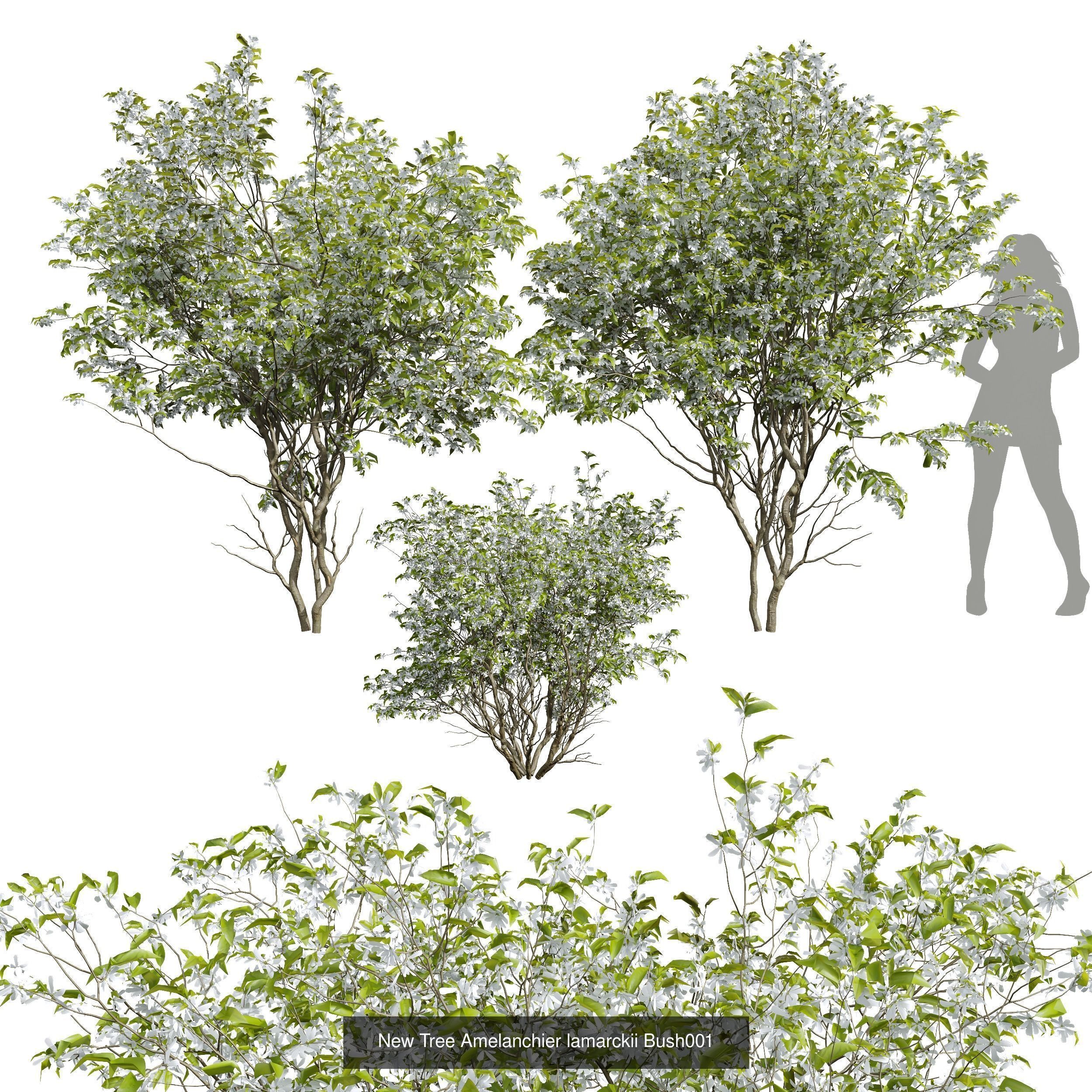  6 Different SETS of  Tree Bush SET VOL33 3D Model Collection_3
