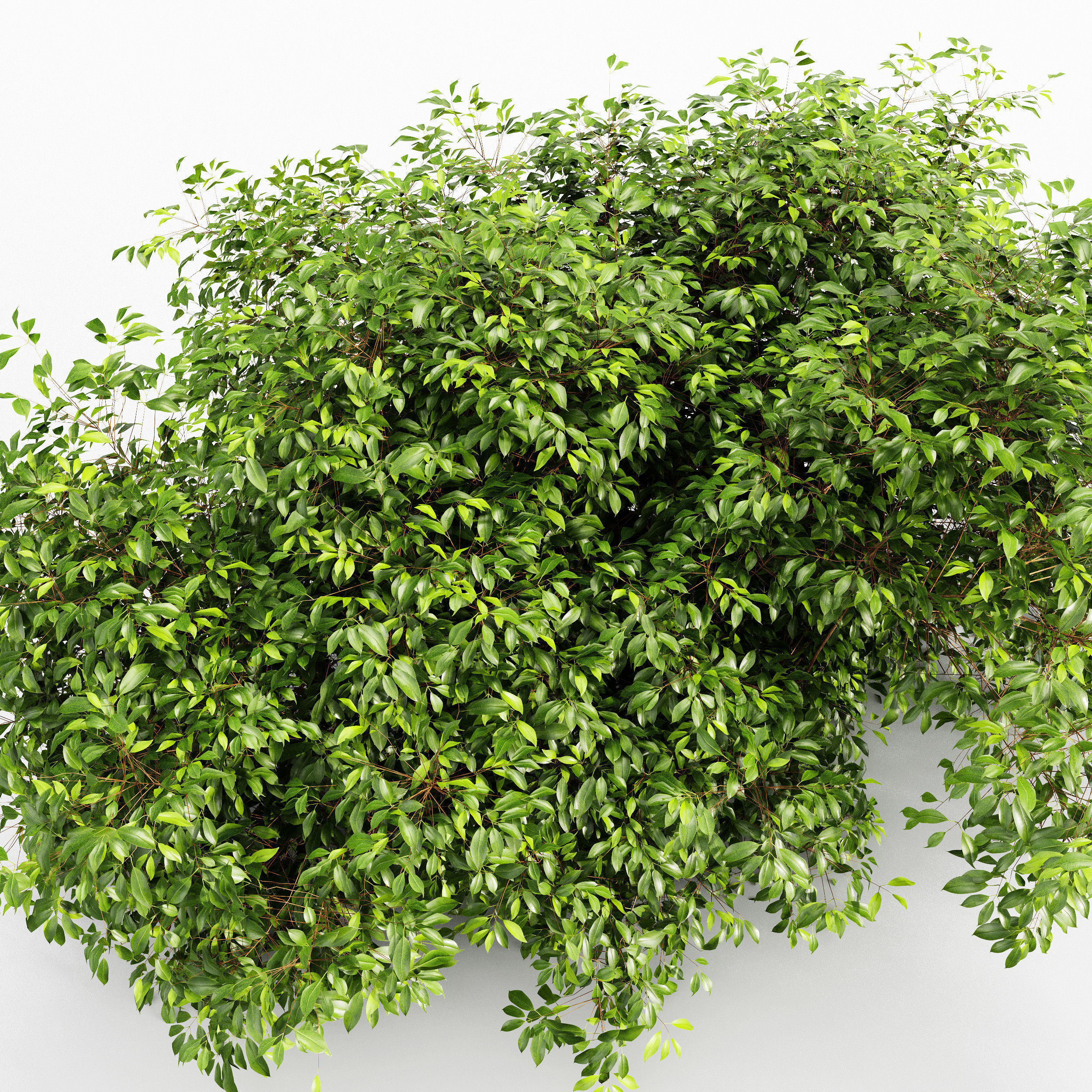  6 Different SETS of  Tree Bush SET VOL33 3D Model Collection_18