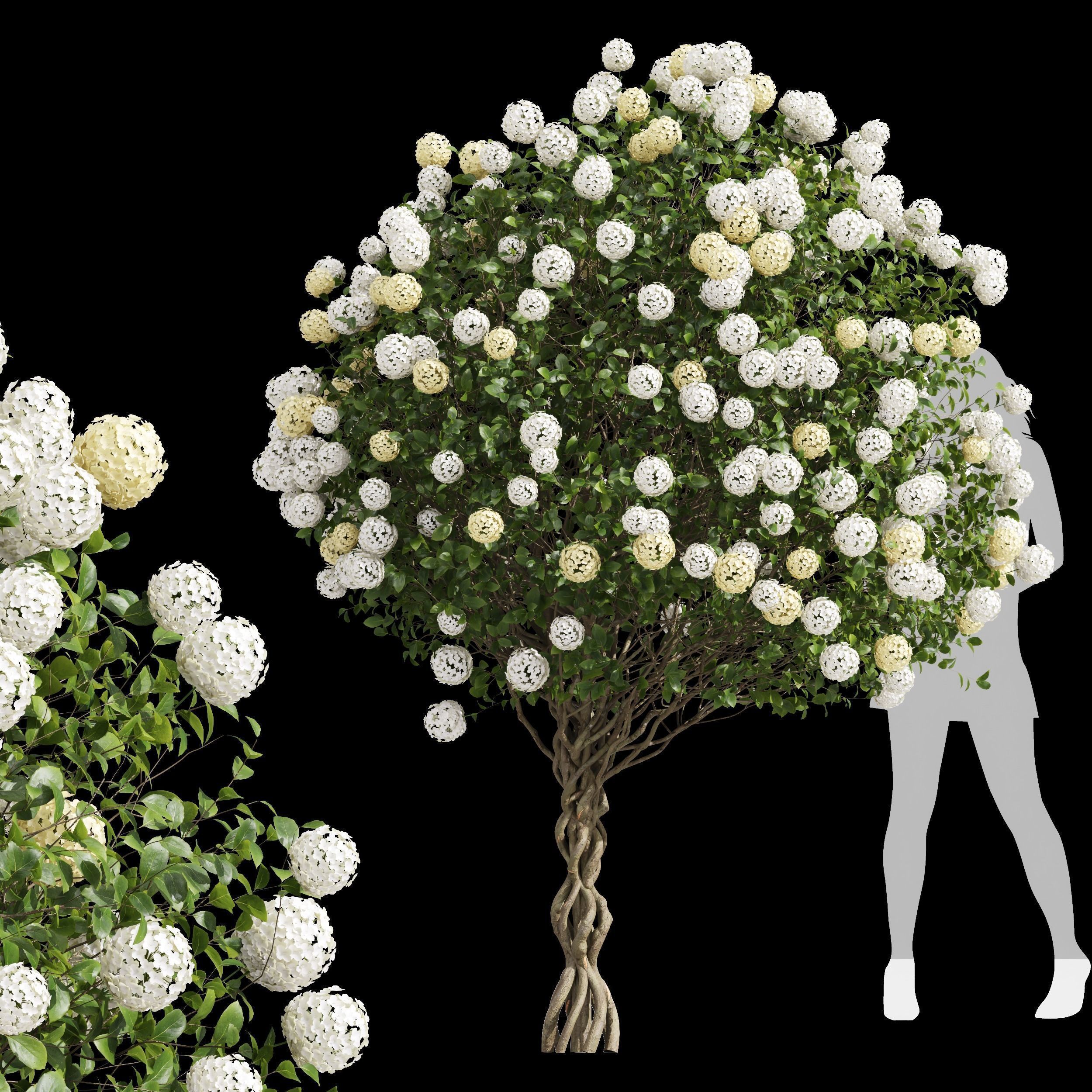  6 Different SETS of  Tree Bush SET VOL33 3D Model Collection_12