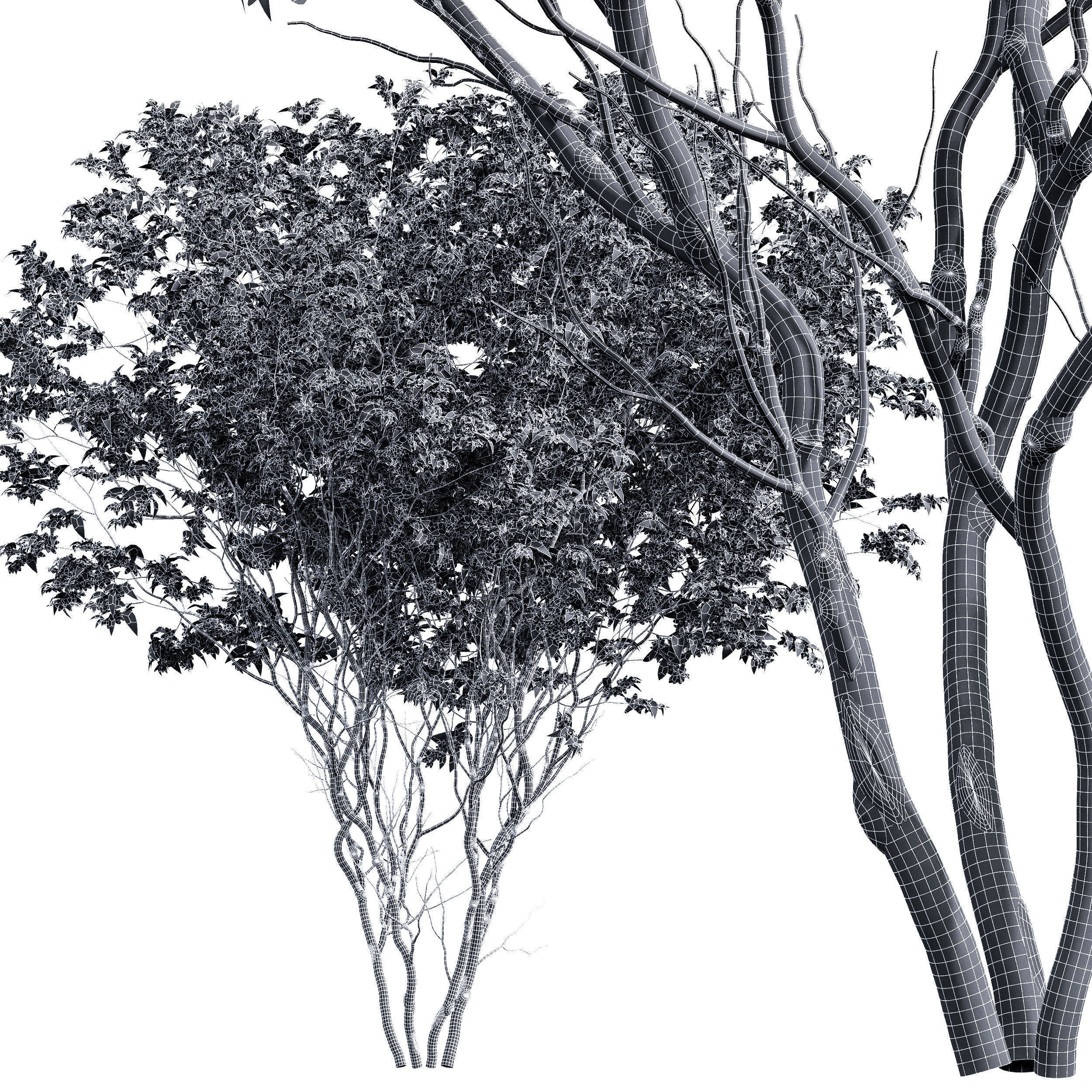  6 Different SETS of  Tree Bush SET VOL33 3D Model Collection_26