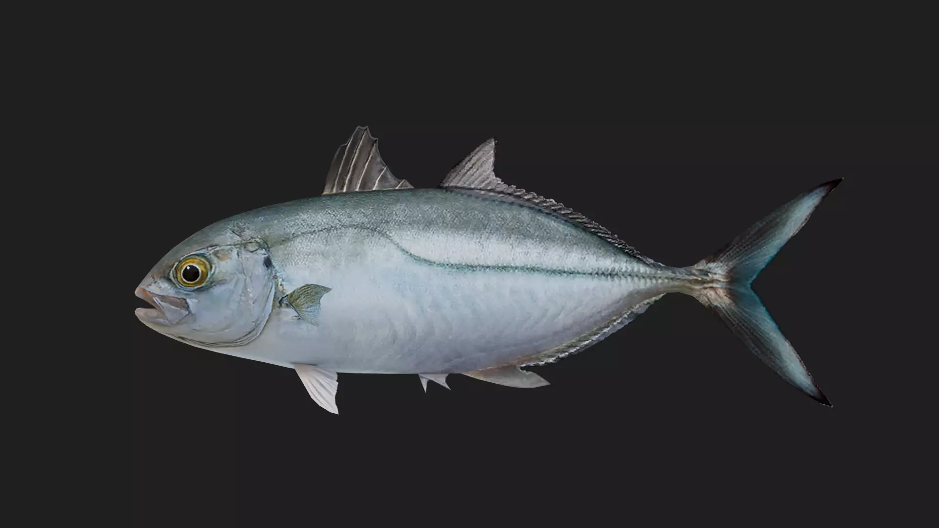 Runner Low-poly 3D model_0