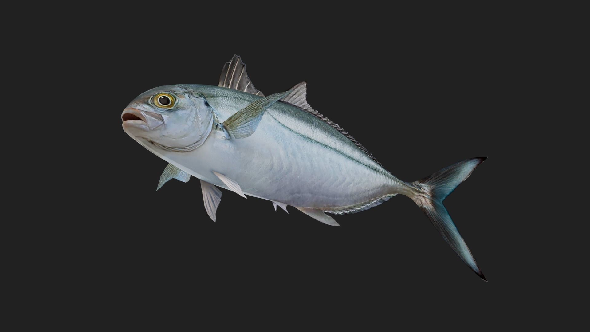 Runner Low-poly 3D model_2