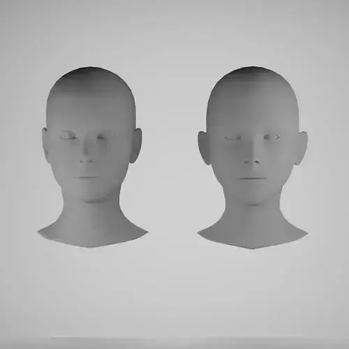 Female head base mesh pack 2 model 3D Model Collection
