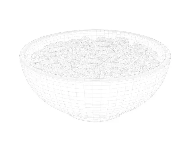 Bowl of Noodles 3D model 7