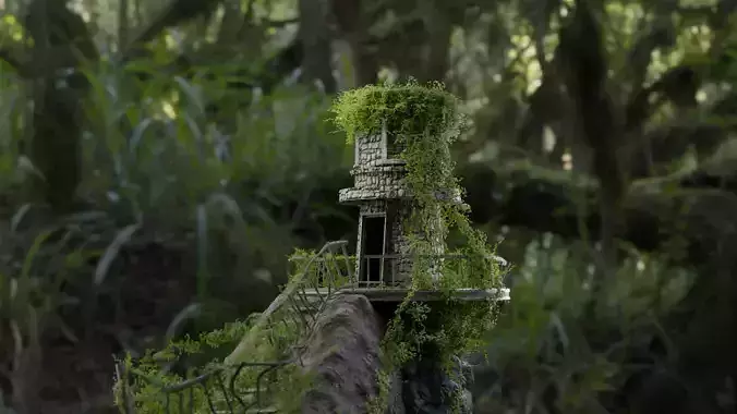 old Watch Tower in woods