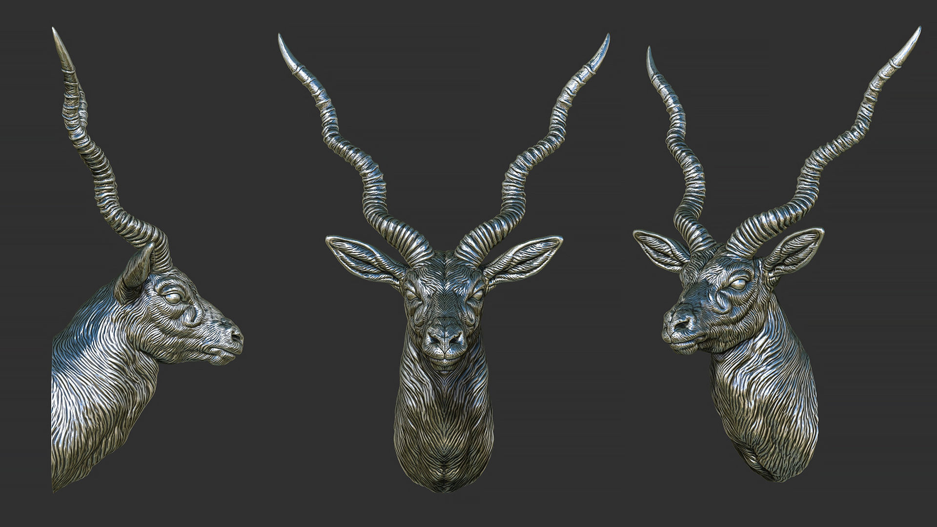 Blackbuck antelope bust 3D print model_1