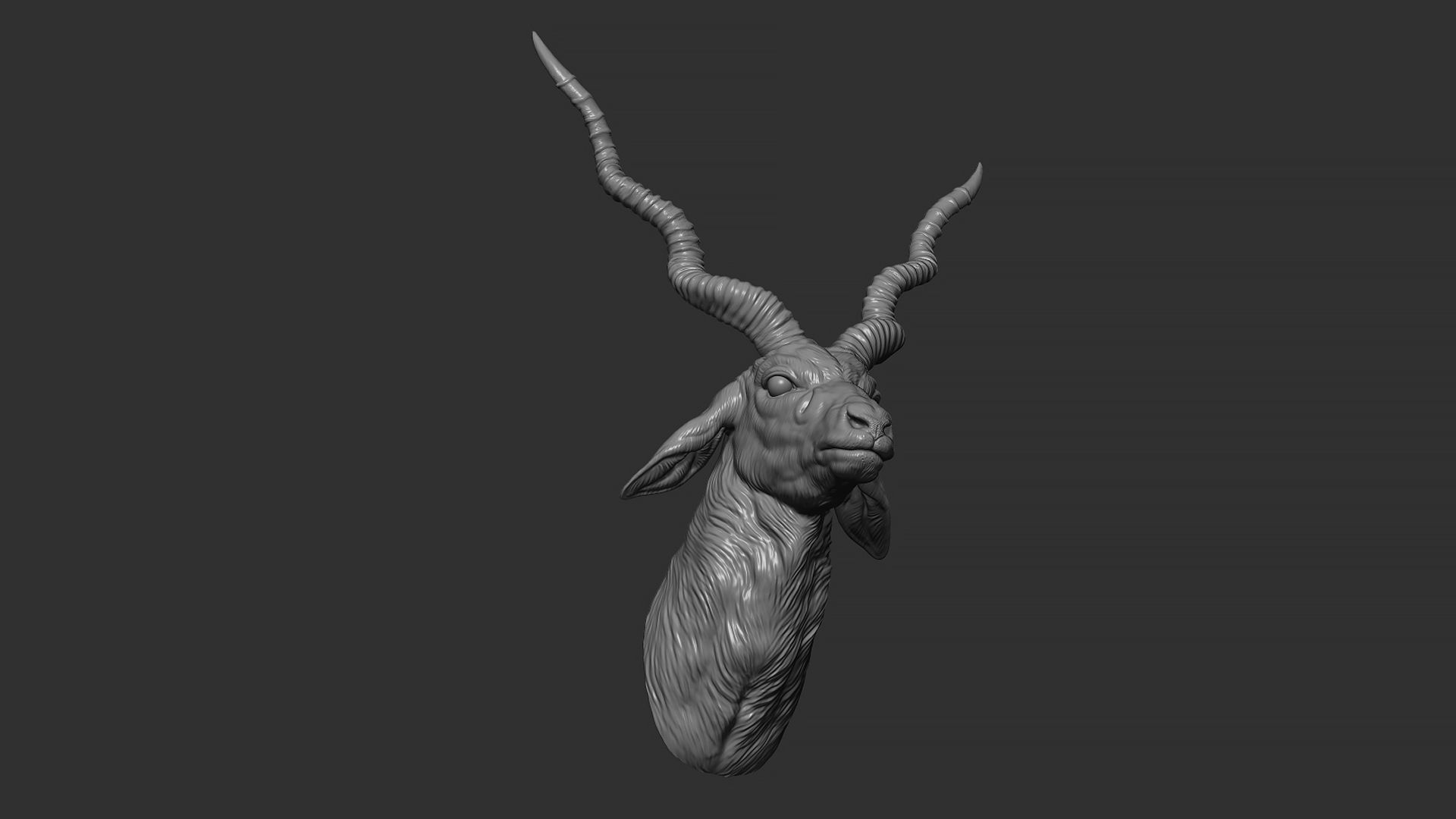 Blackbuck antelope bust 3D print model_24