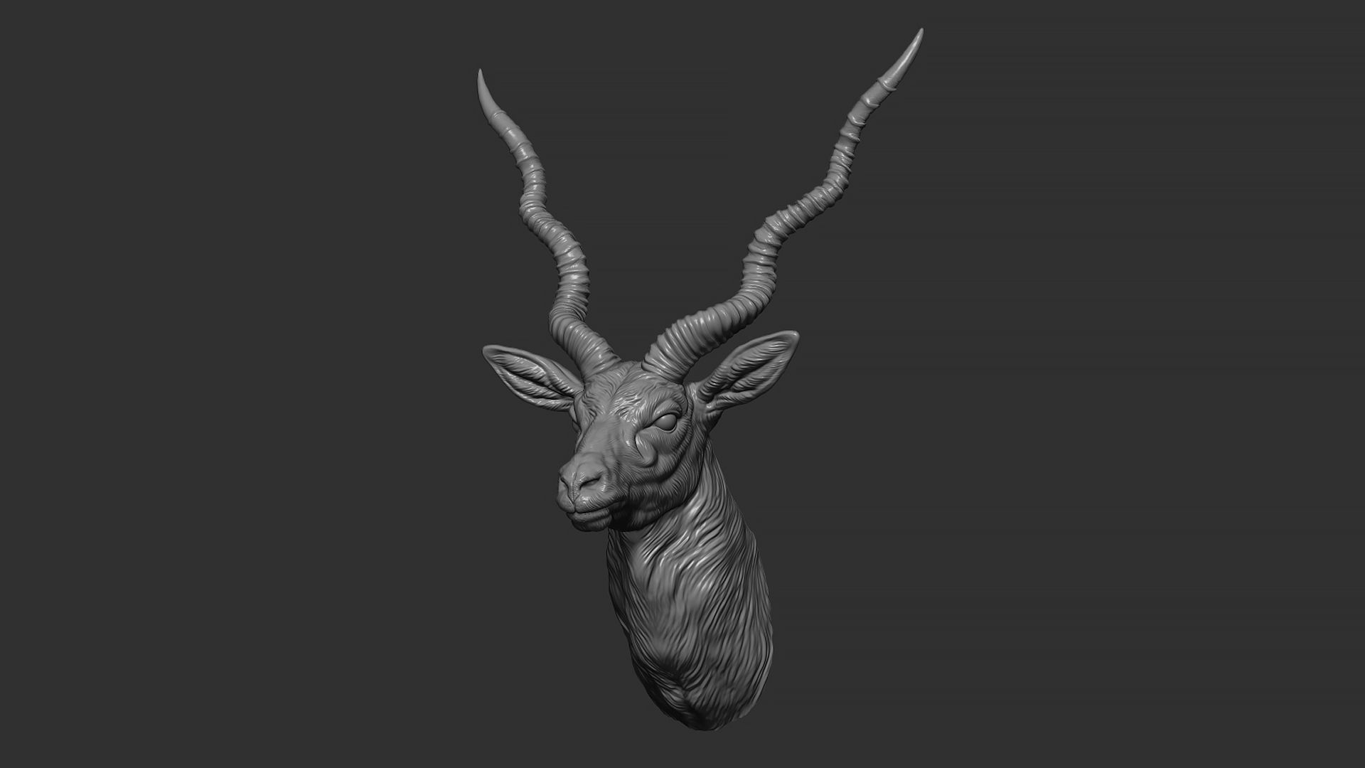 Blackbuck antelope bust 3D print model_4